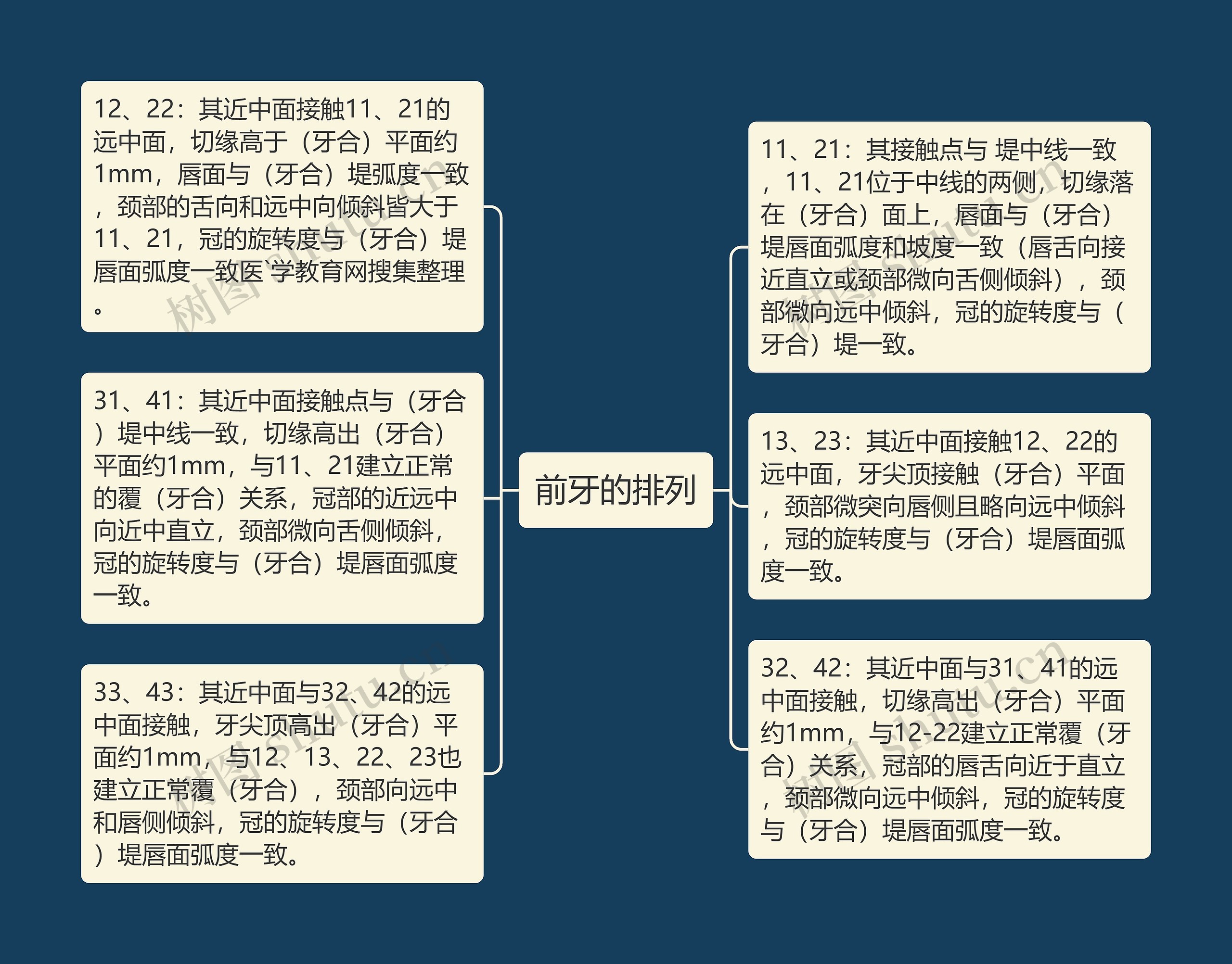 前牙的排列