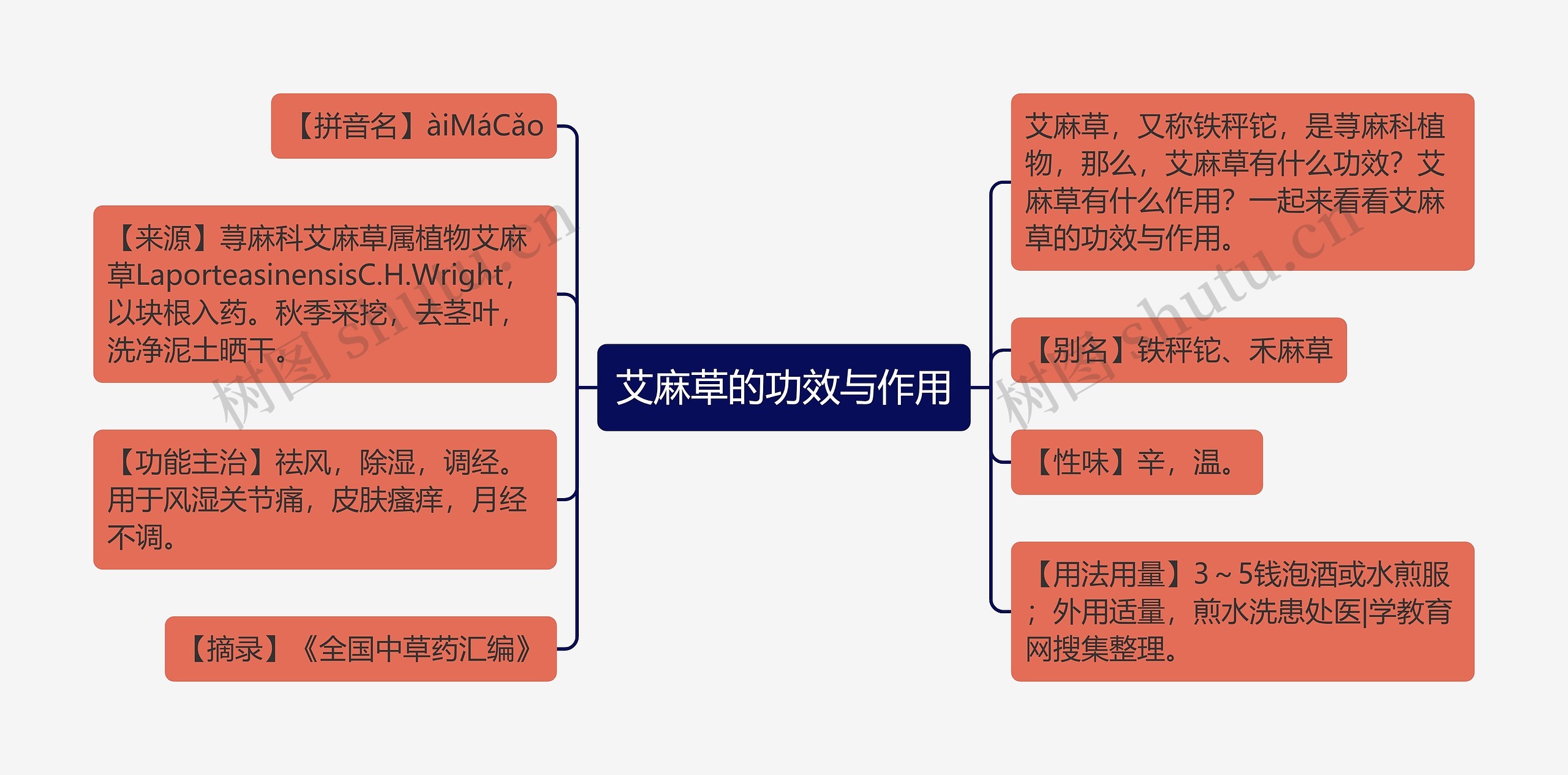 艾麻草的功效与作用思维导图