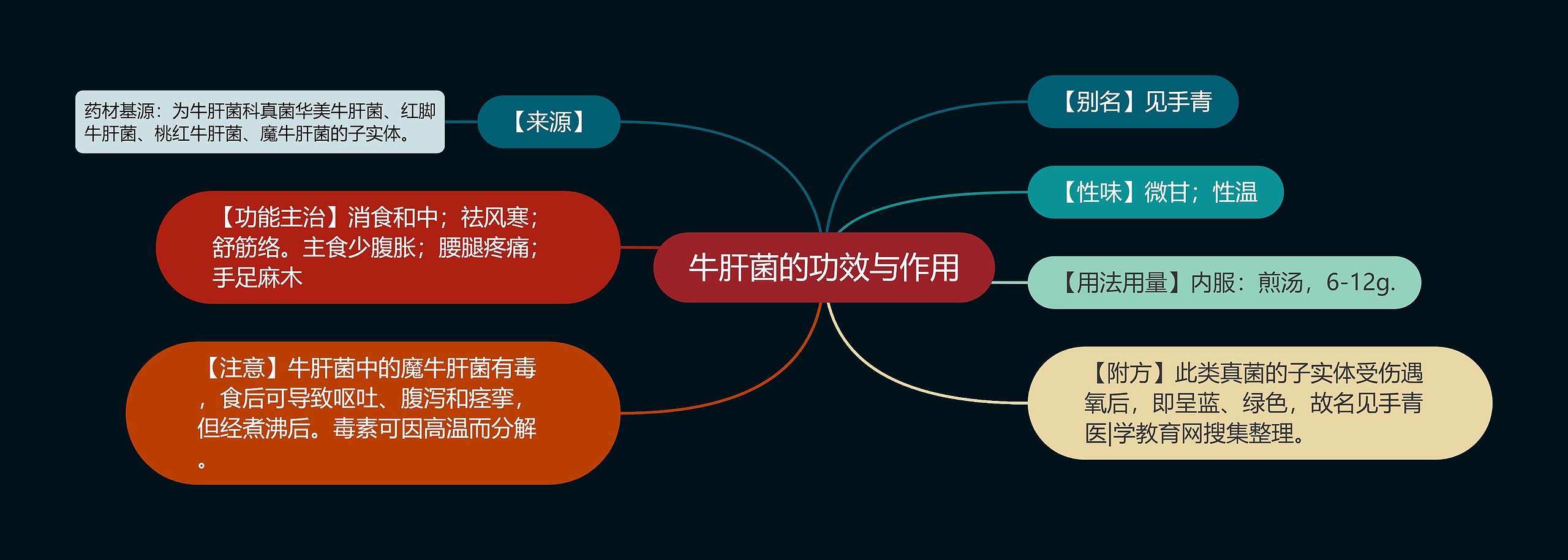 牛肝菌的功效与作用 牛肝菌的功效与作用