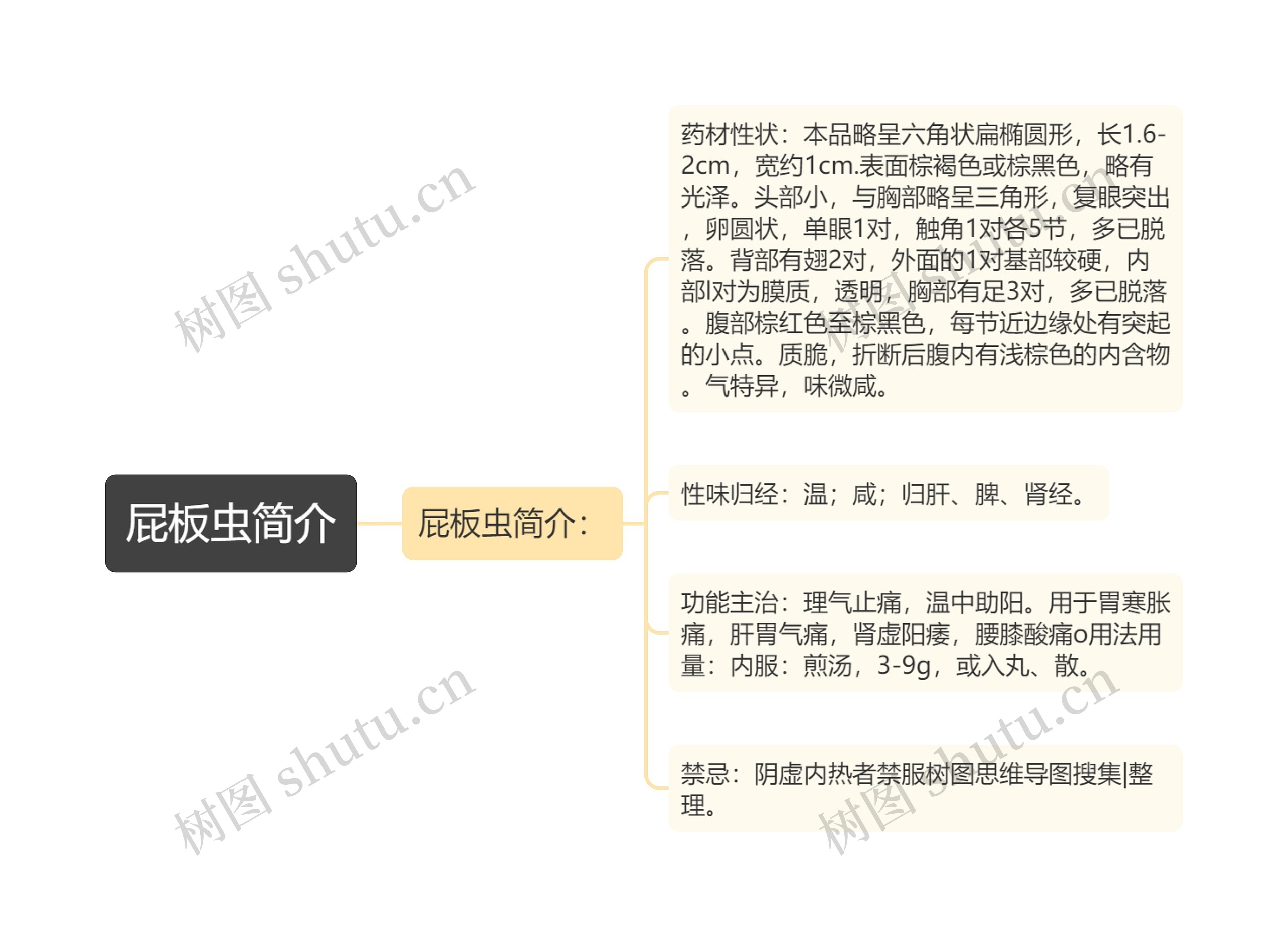 屁板虫简介 屁板虫简介