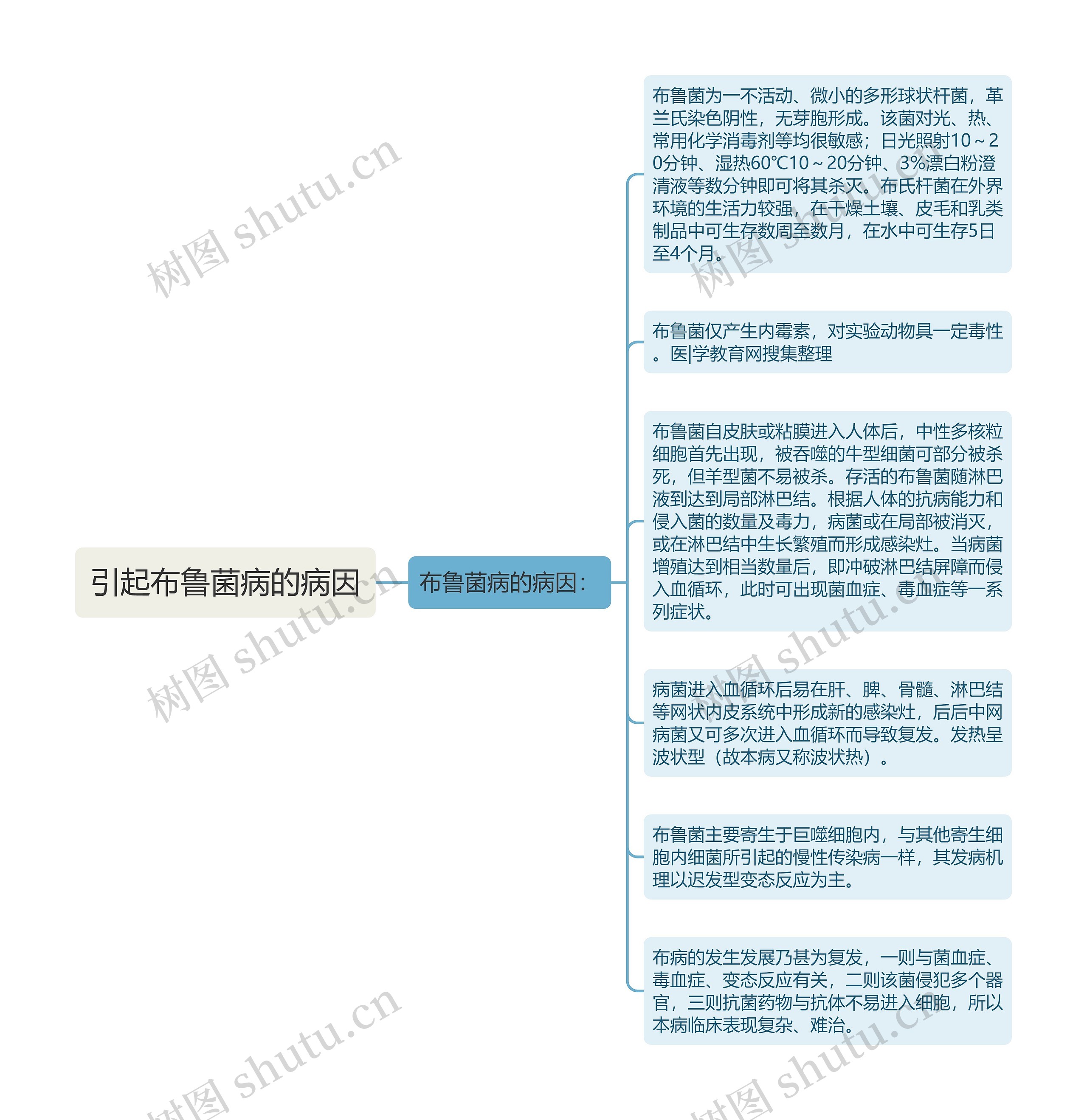 引起布鲁菌病的病因思维导图