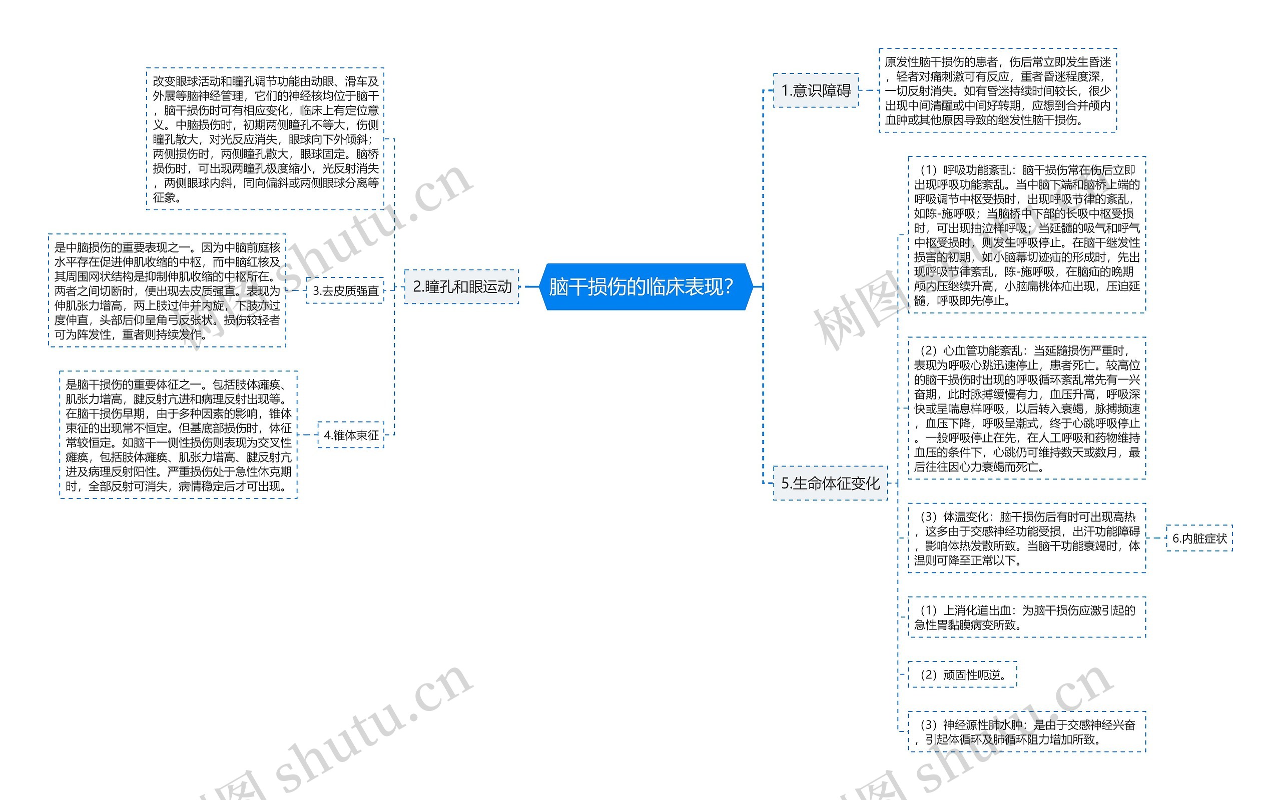 脑干损伤的临床表现？思维导图