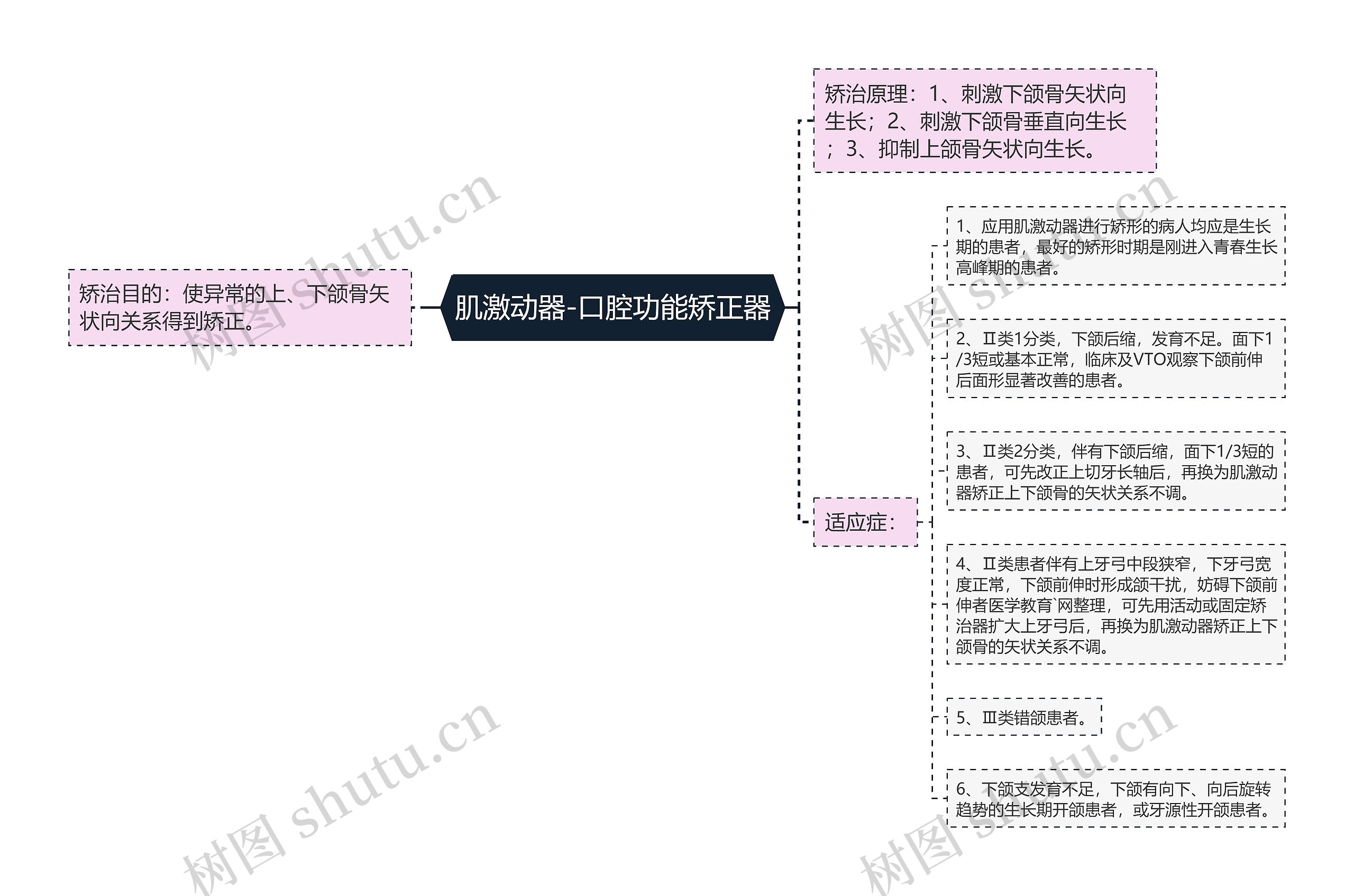 肌激动器-口腔功能矫正器