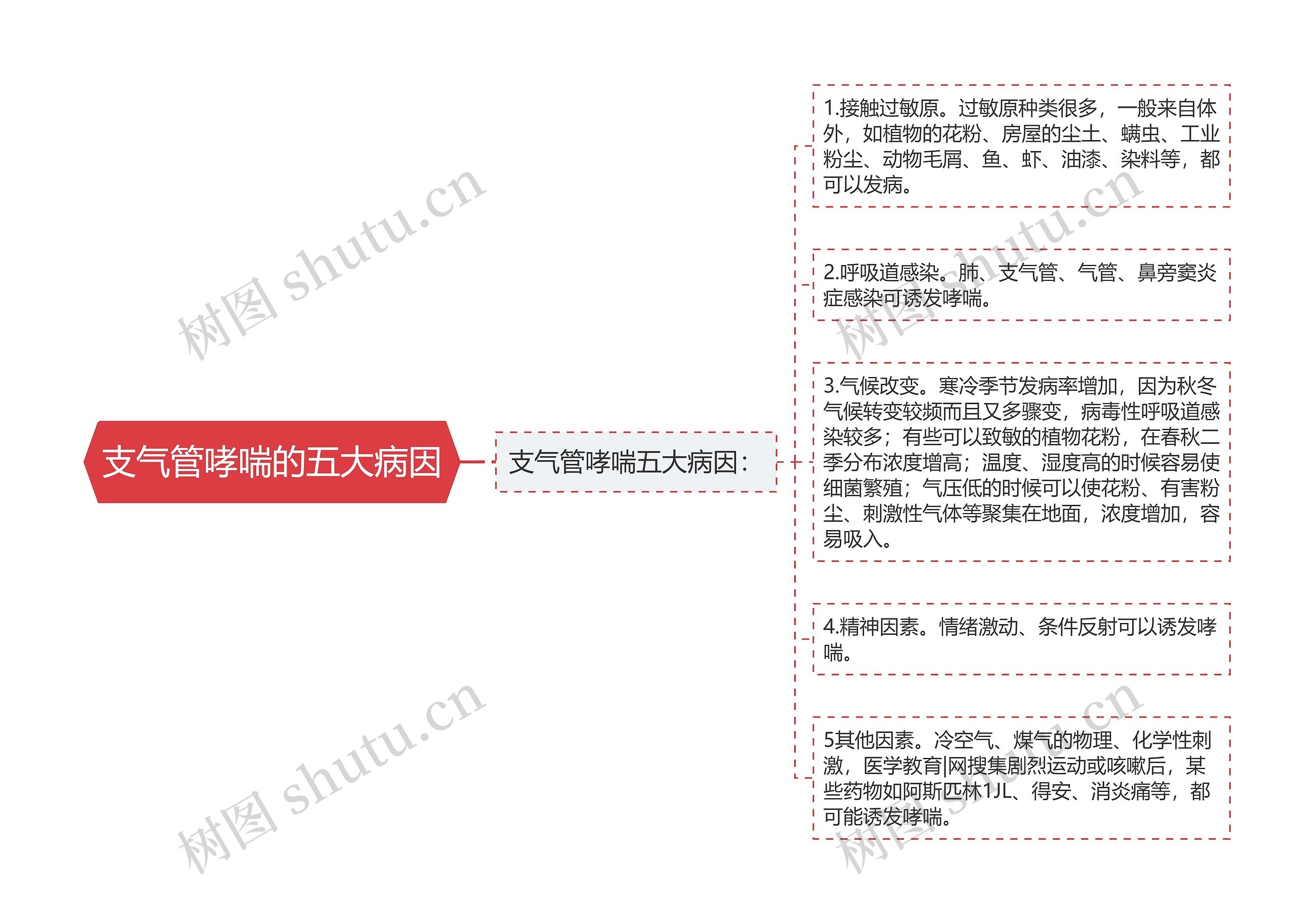 支气管哮喘的五大病因思维导图