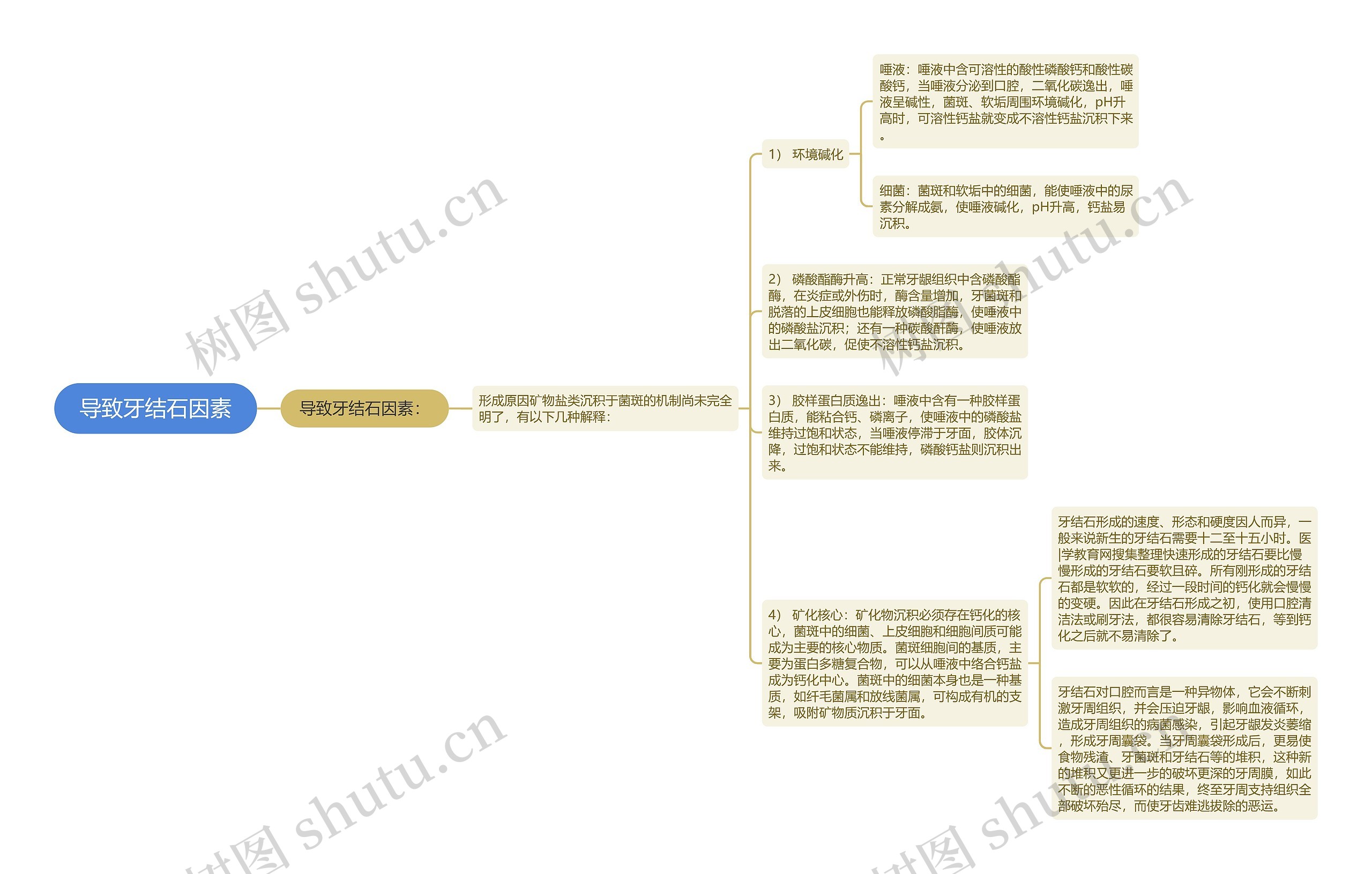 导致牙结石因素 导致牙结石因素
