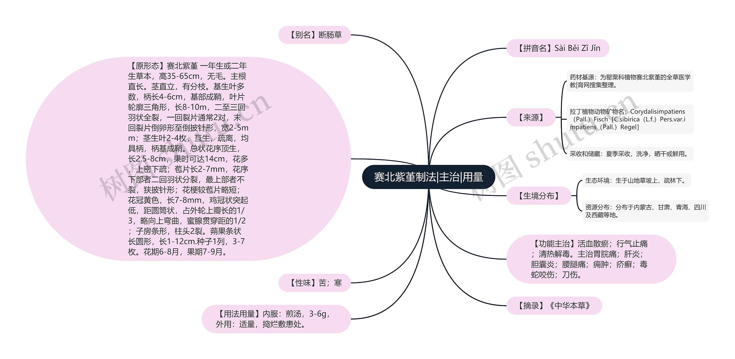 赛北紫堇制法|主治|用量