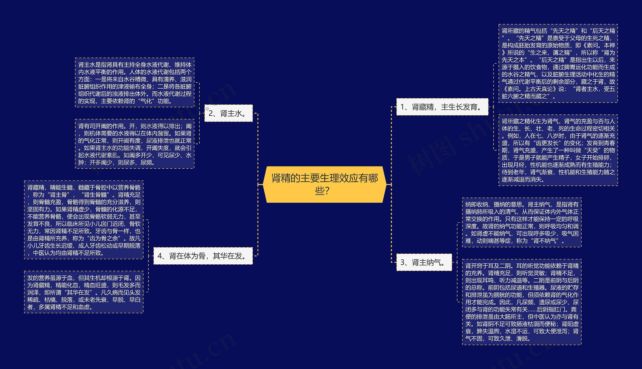 肾精的主要生理效应有哪些？思维导图