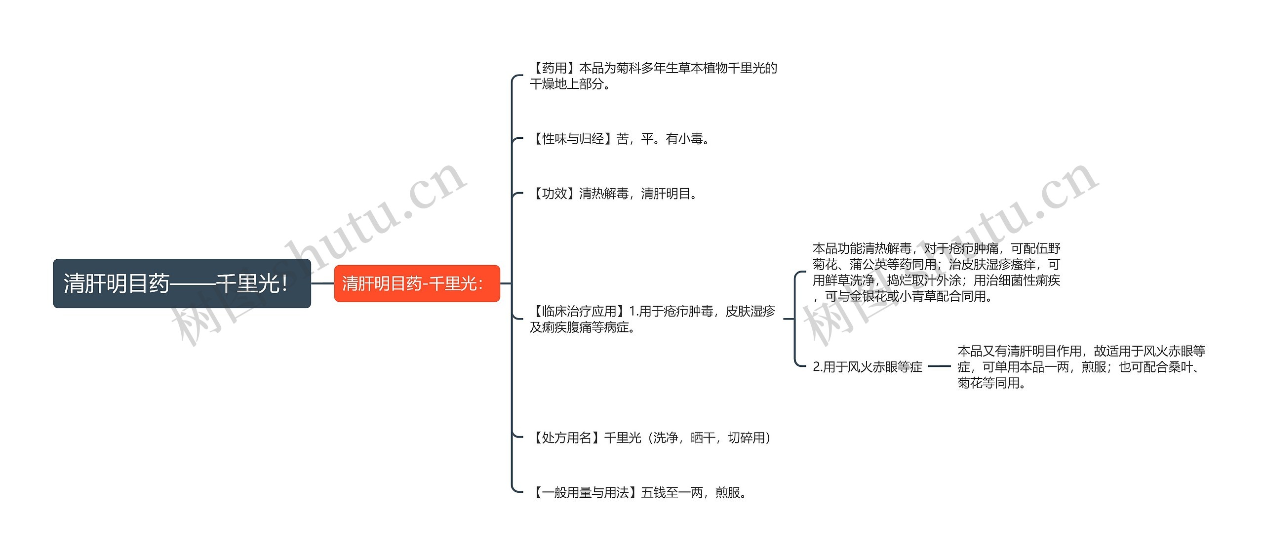 清肝明目药——千里光！思维导图