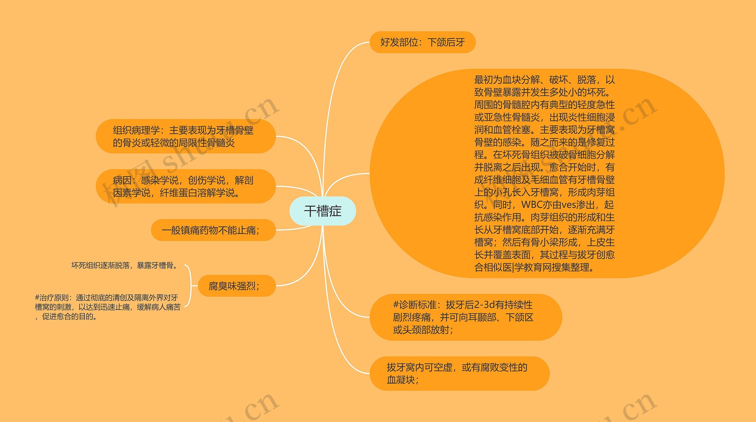 干槽症思维导图