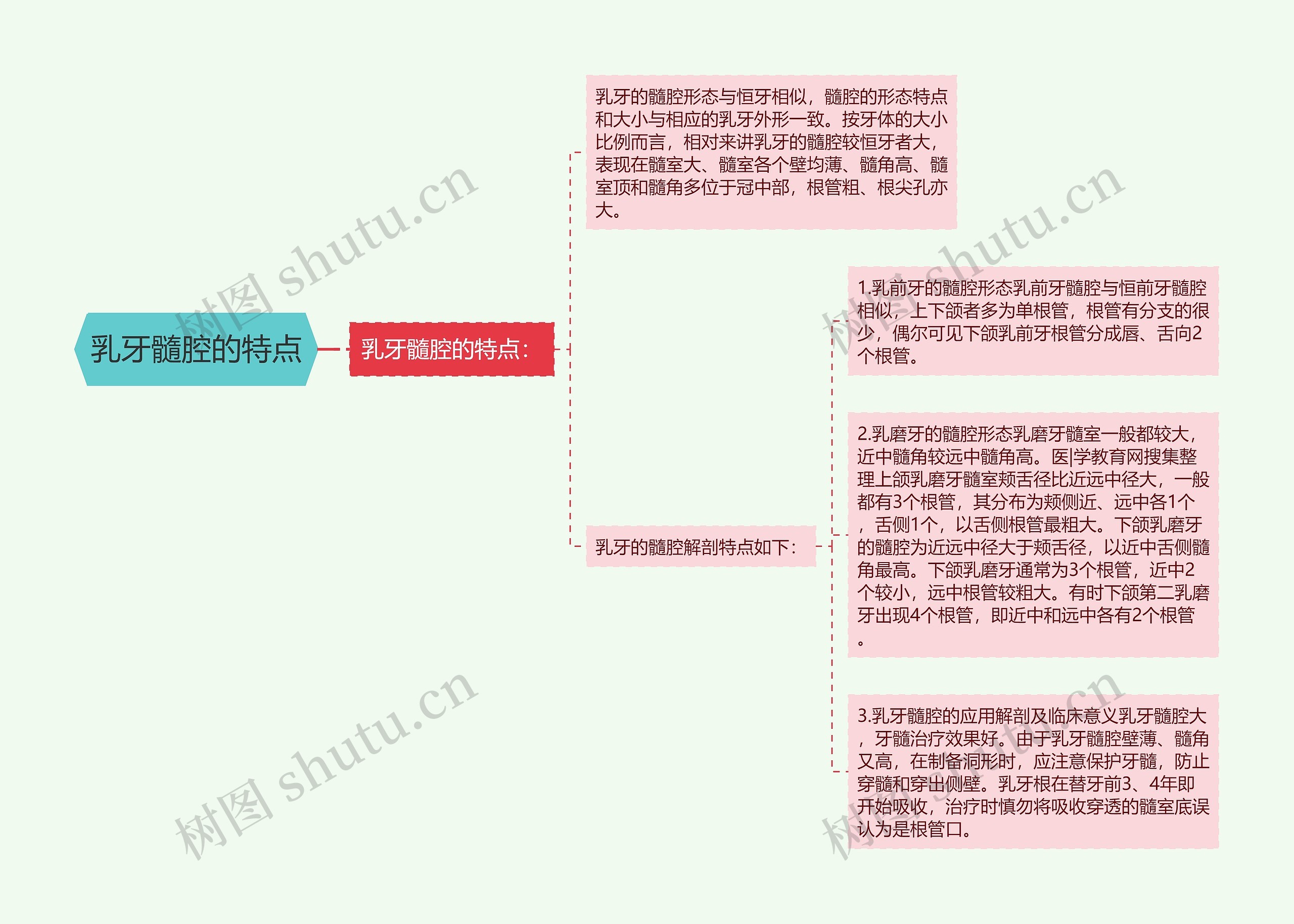 乳牙髓腔的特点思维导图