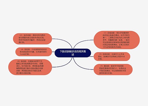 下肢动脉触诊法的相关概述