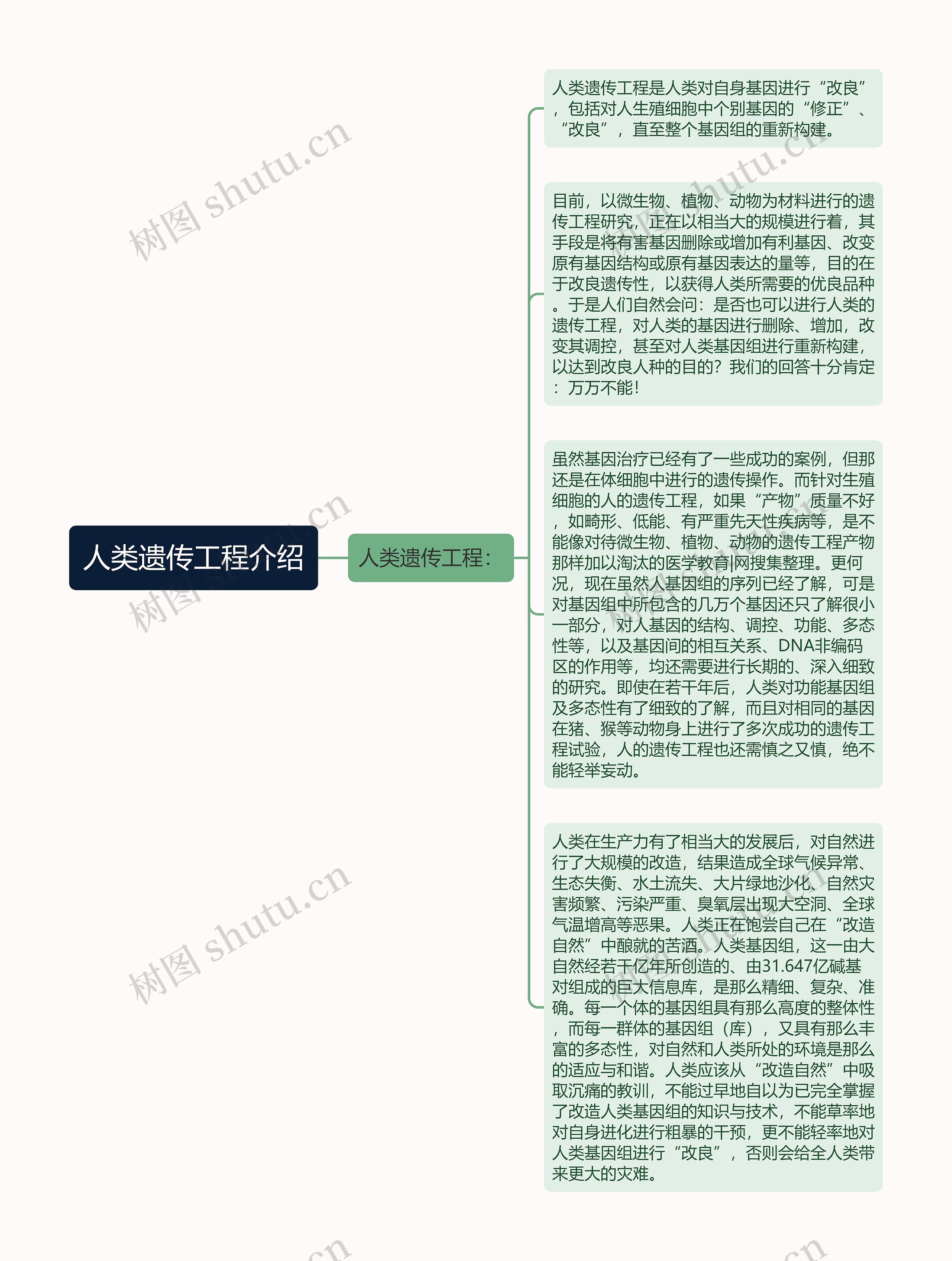 人类遗传工程介绍思维导图