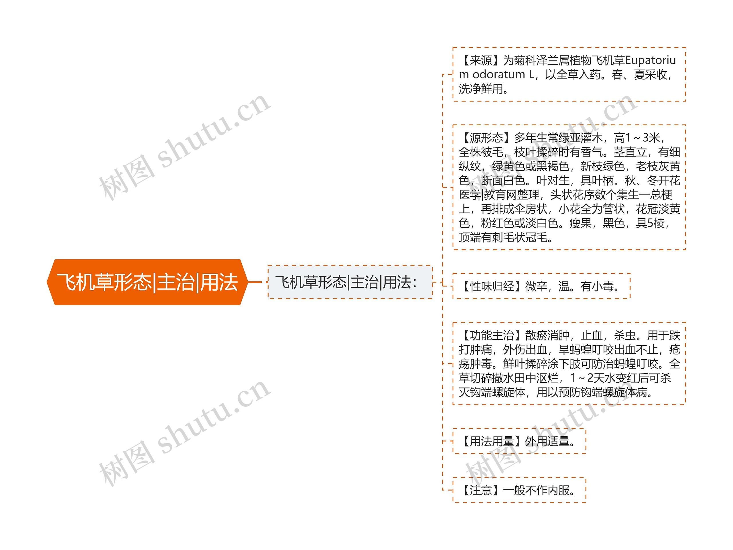 飞机草形态|主治|用法