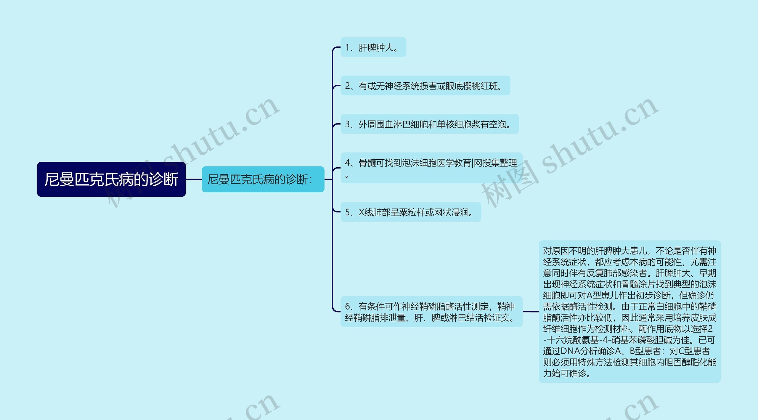 尼曼匹克氏病的诊断