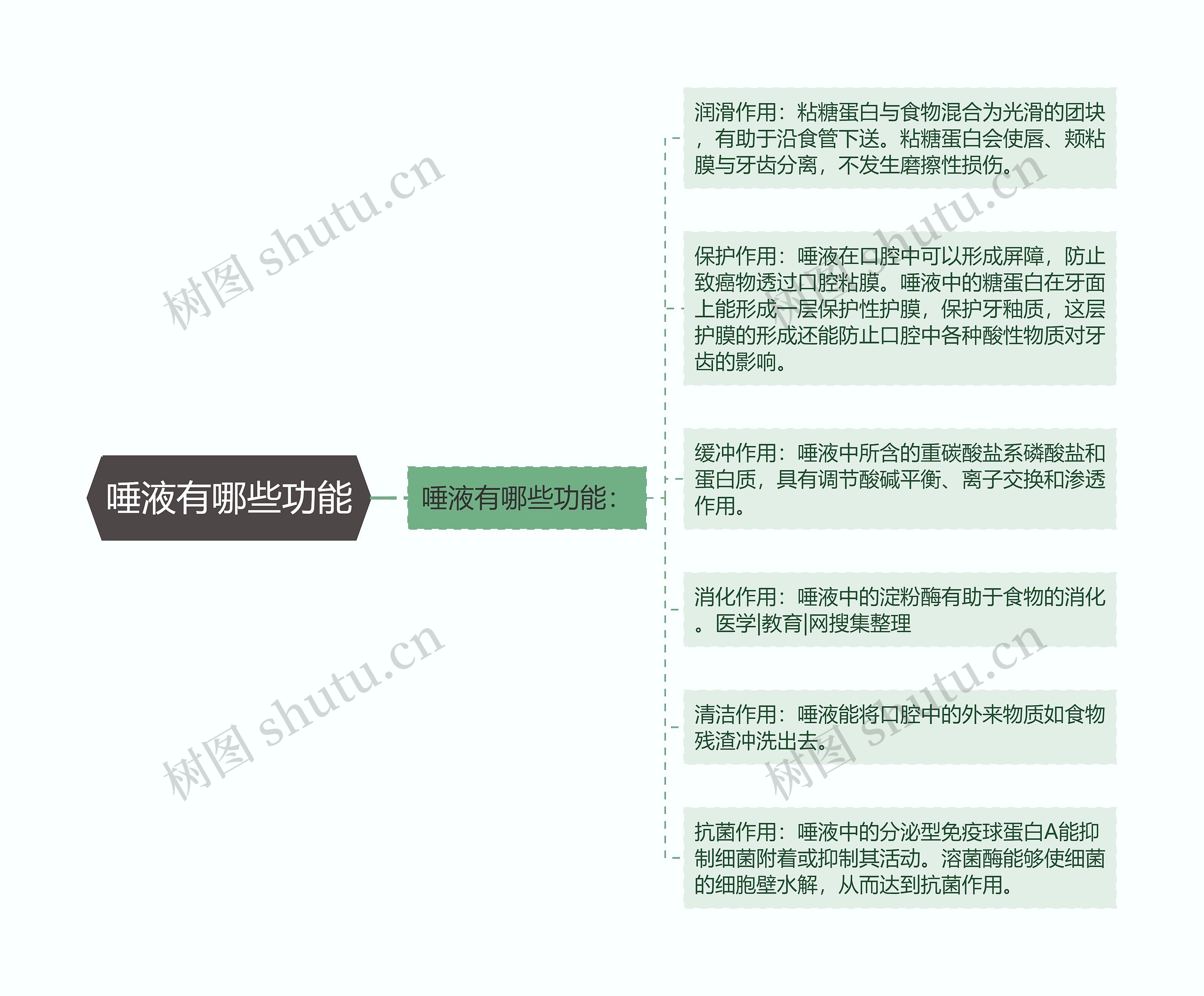 唾液有哪些功能思维导图