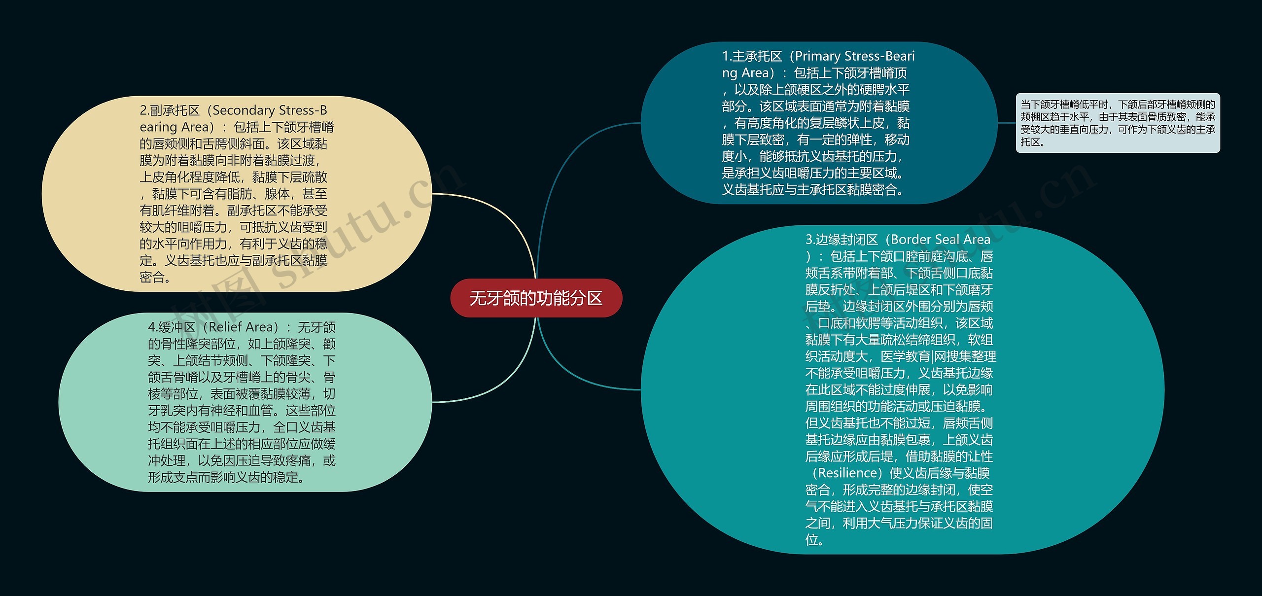 无牙颌的功能分区思维导图