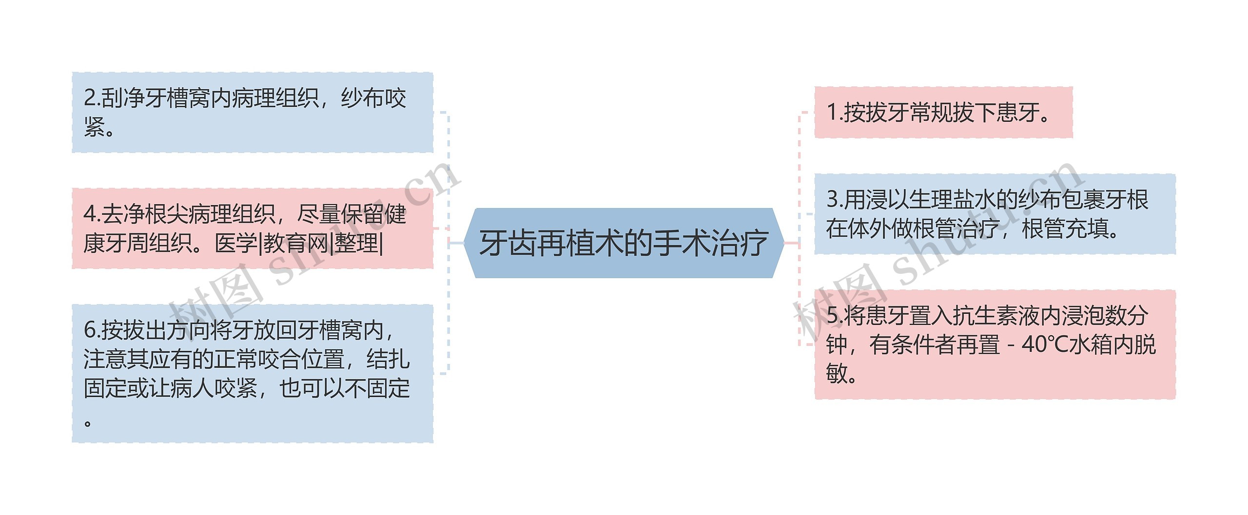 牙齿再植术的手术治疗思维导图