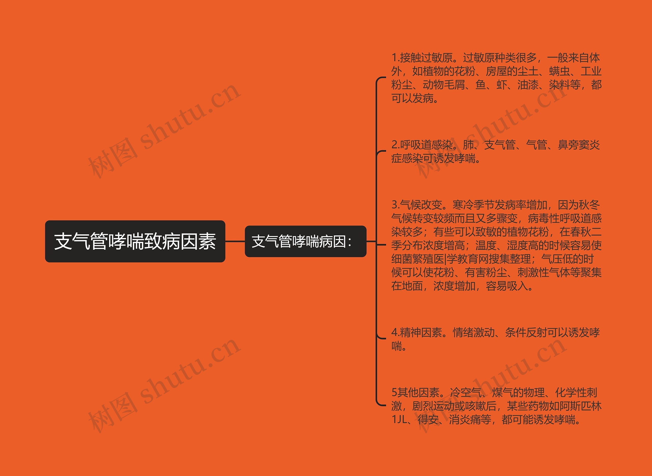 支气管哮喘致病因素思维导图