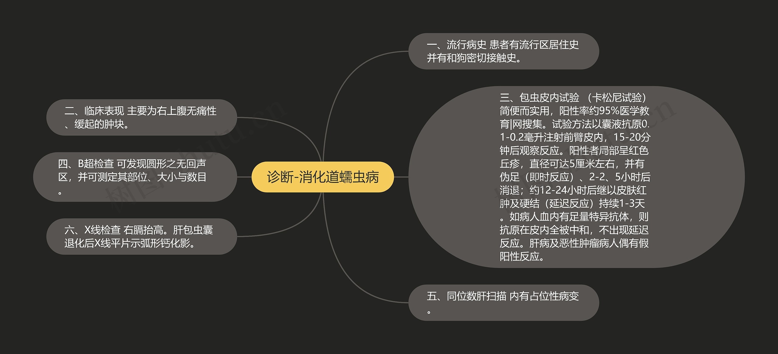 诊断-消化道蠕虫病思维导图