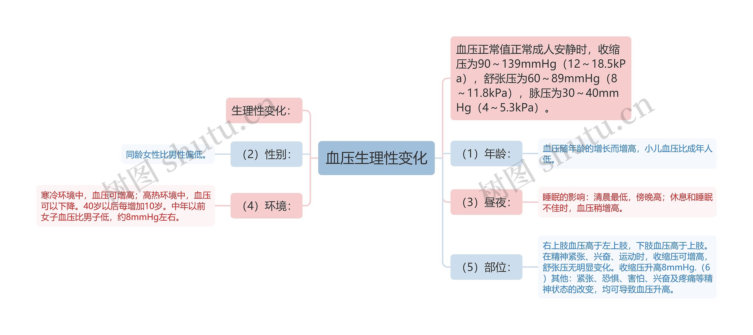 血压生理性变化思维导图