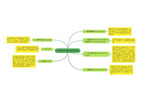 牙釉质的表面结构有哪些