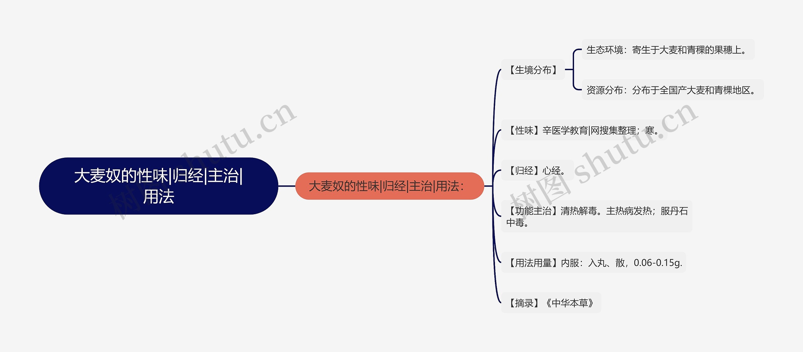 大麦奴的性味|归经|主治|用法思维导图