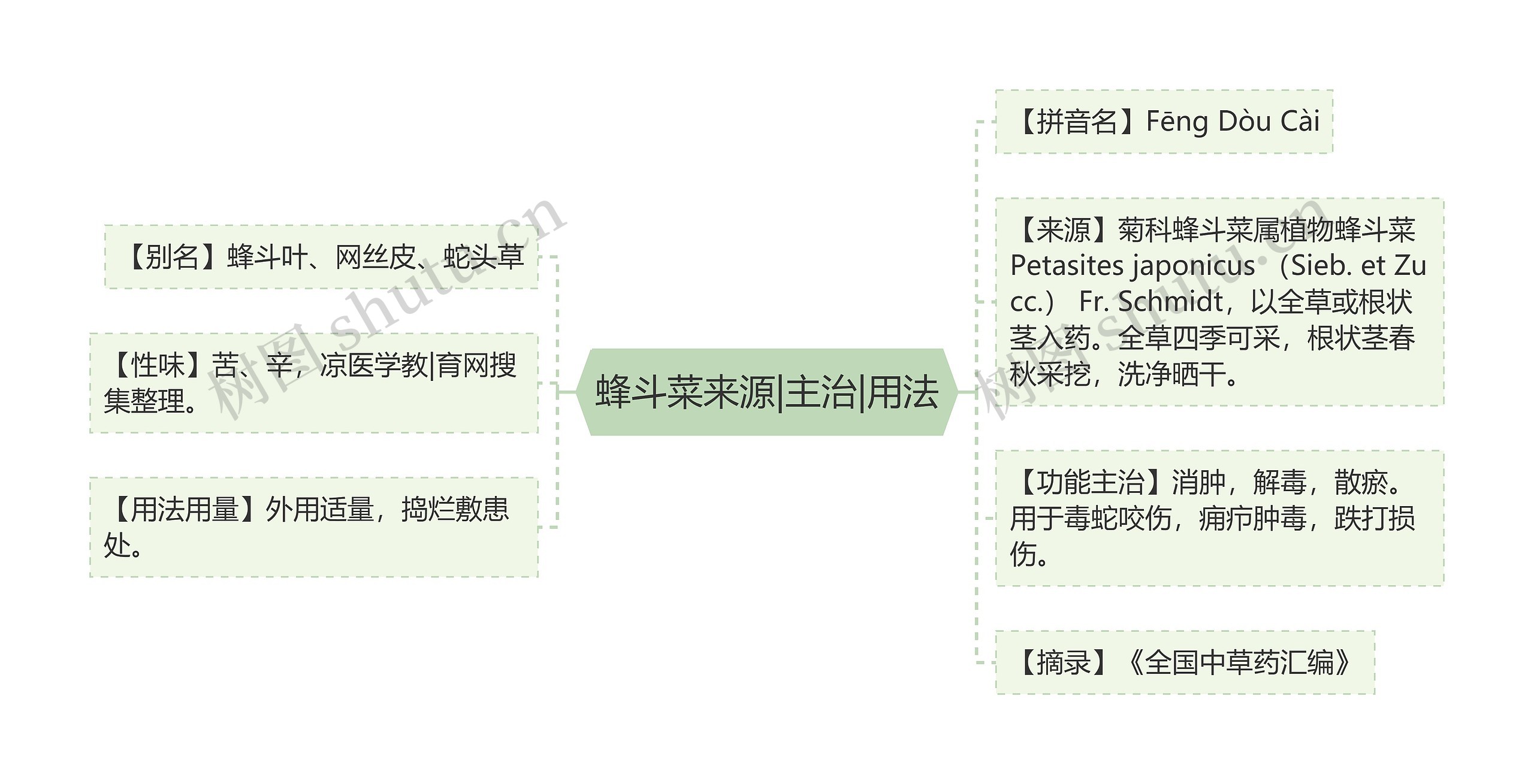 蜂斗菜来源|主治|用法