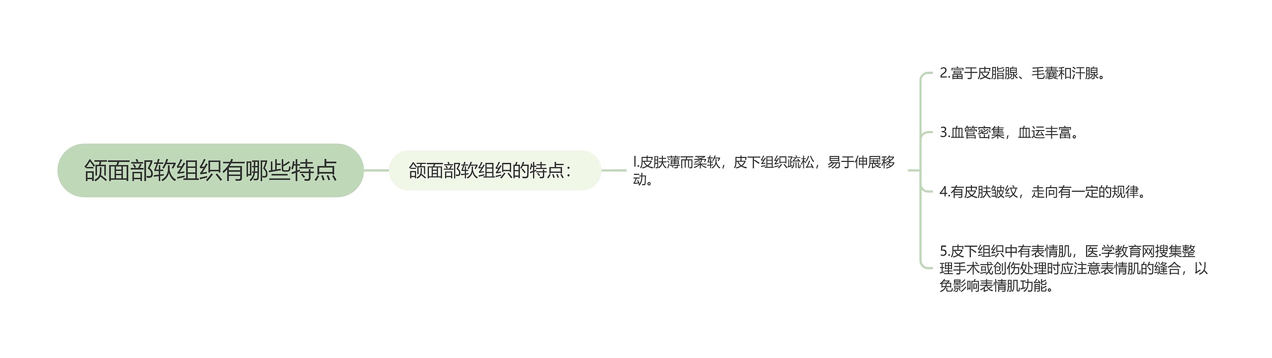 颌面部软组织有哪些特点 颌面部软组织有哪些特点