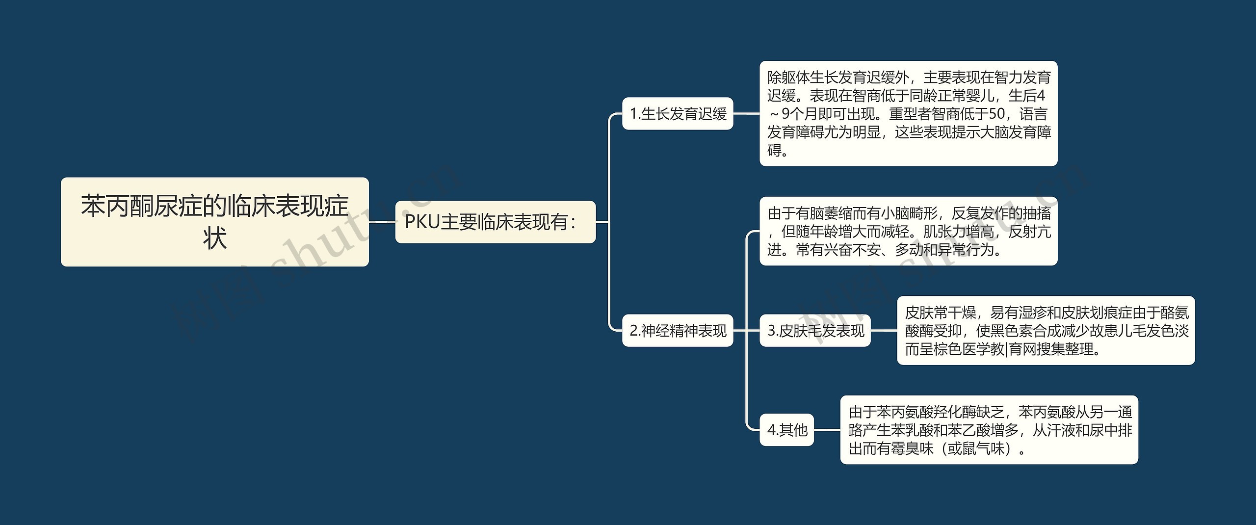 苯丙酮尿症的临床表现症状