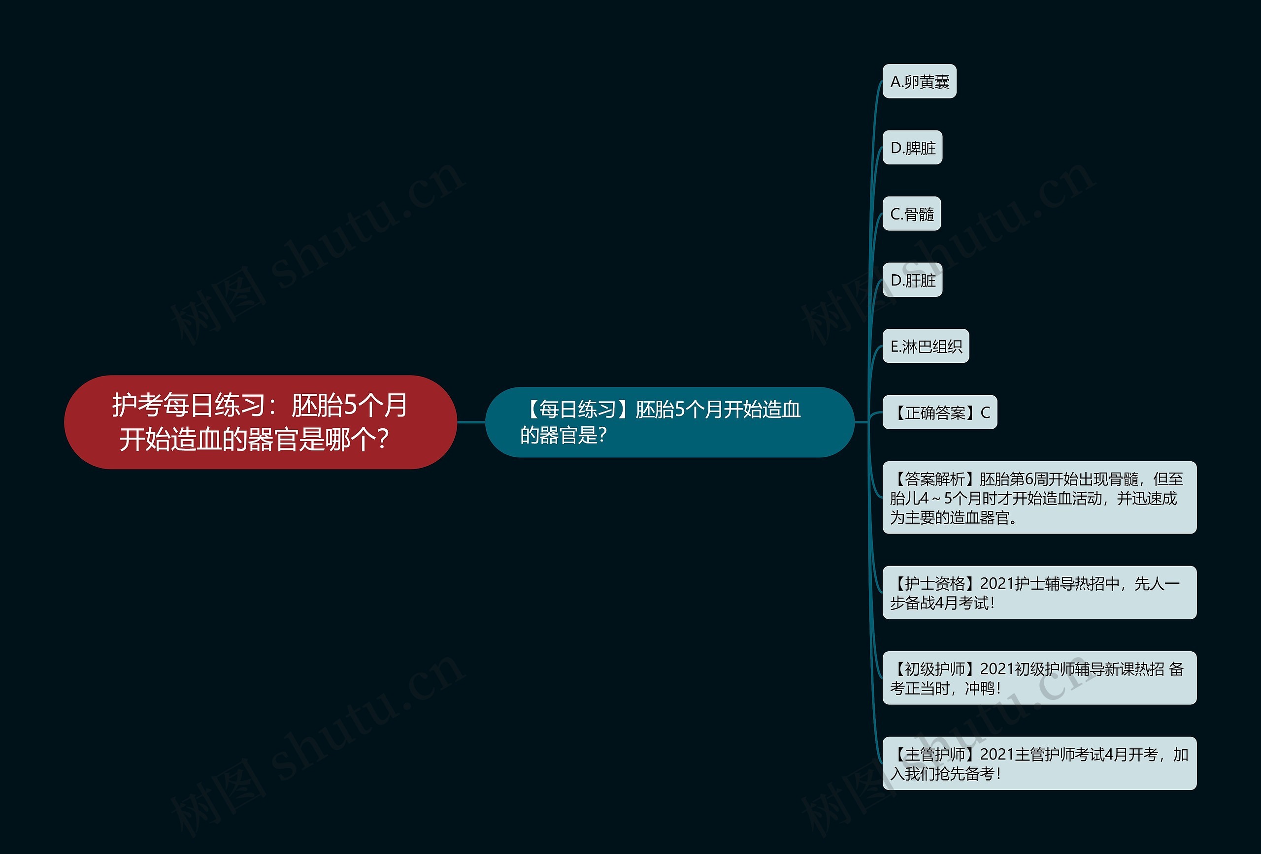 护考每日练习：胚胎5个月开始造血的器官是哪个？思维导图