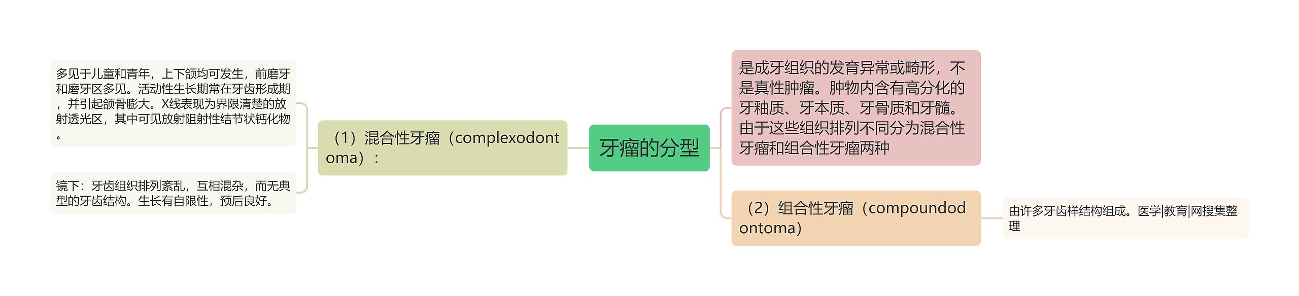 牙瘤的分型