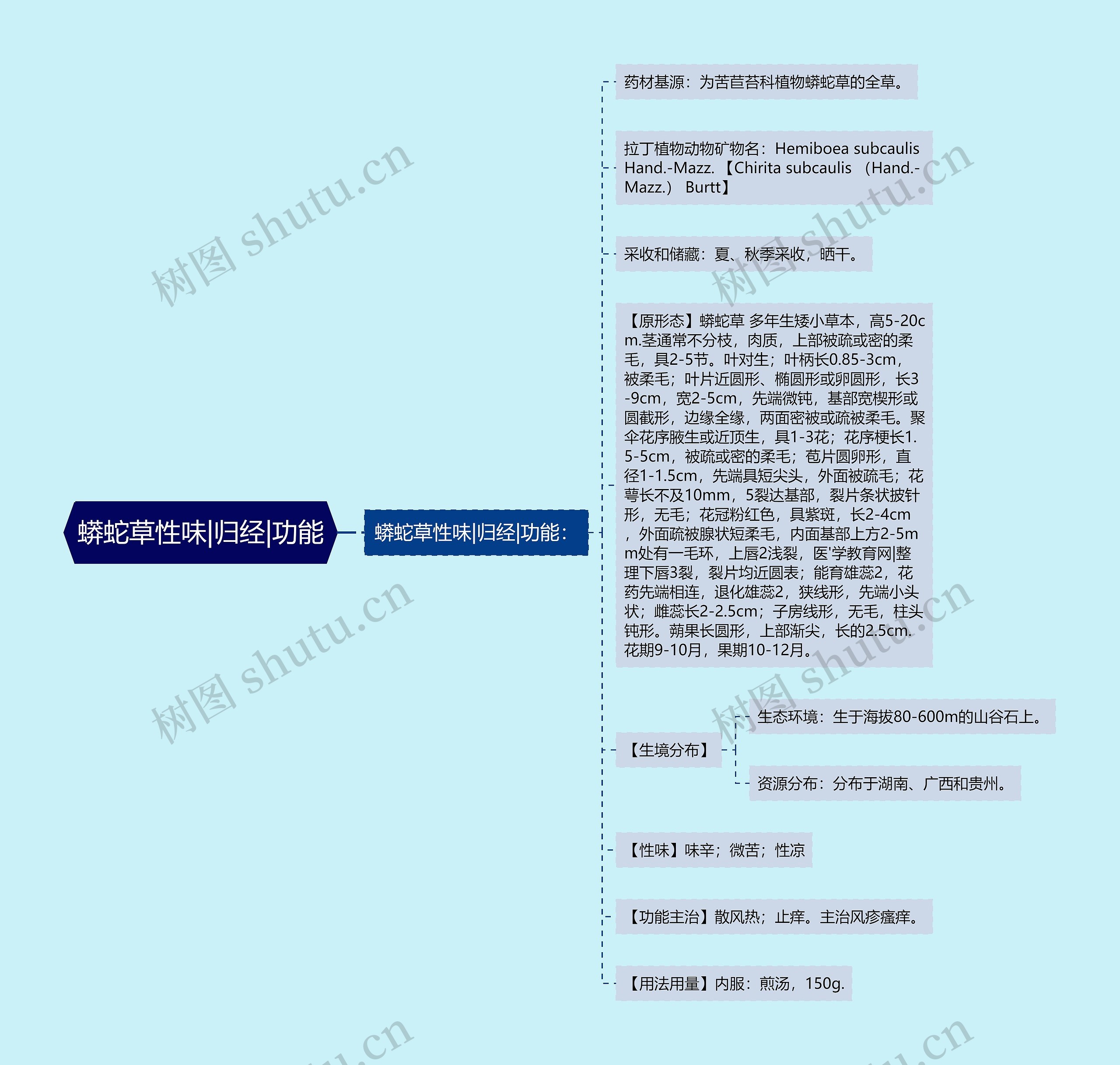 蟒蛇草性味|归经|功能 蟒蛇草性味|归经|功能