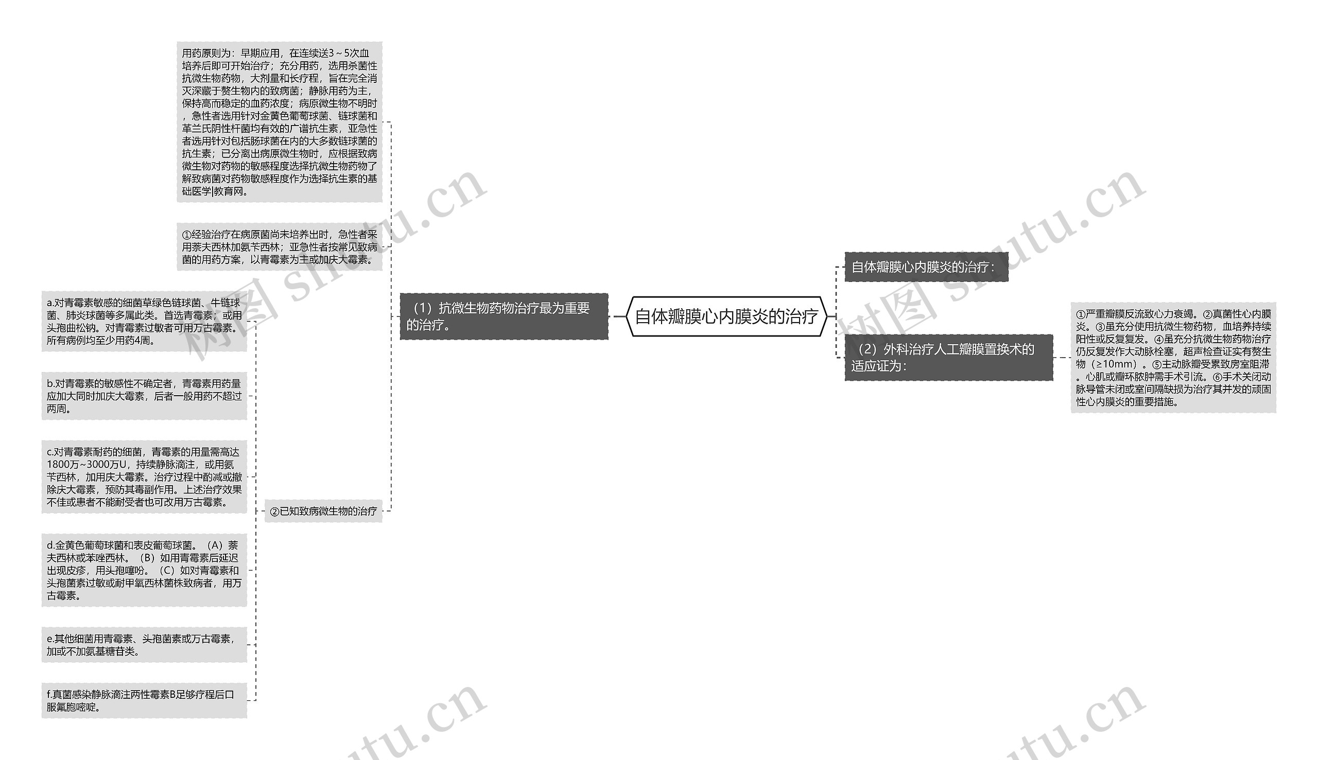 自体瓣膜心内膜炎的治疗思维导图