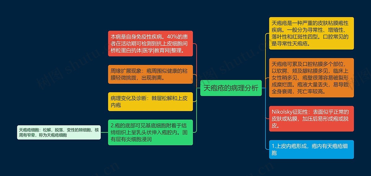 天疱疮的病理分析思维导图_编号p6813246-TreeMind树图