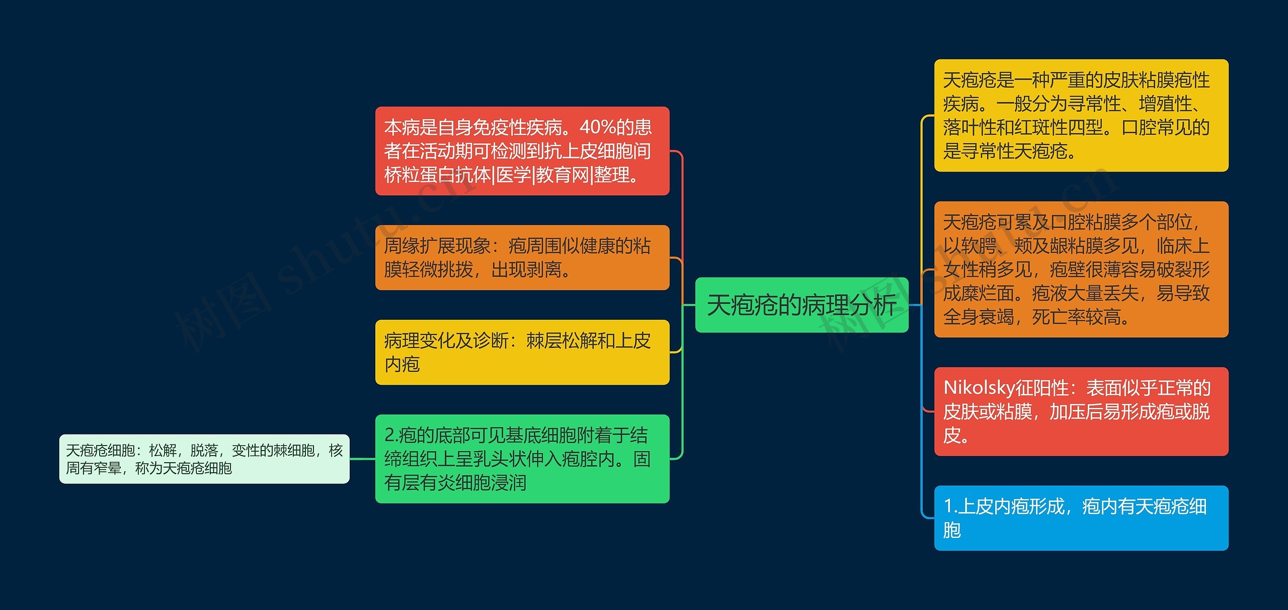 天疱疮的病理分析思维导图