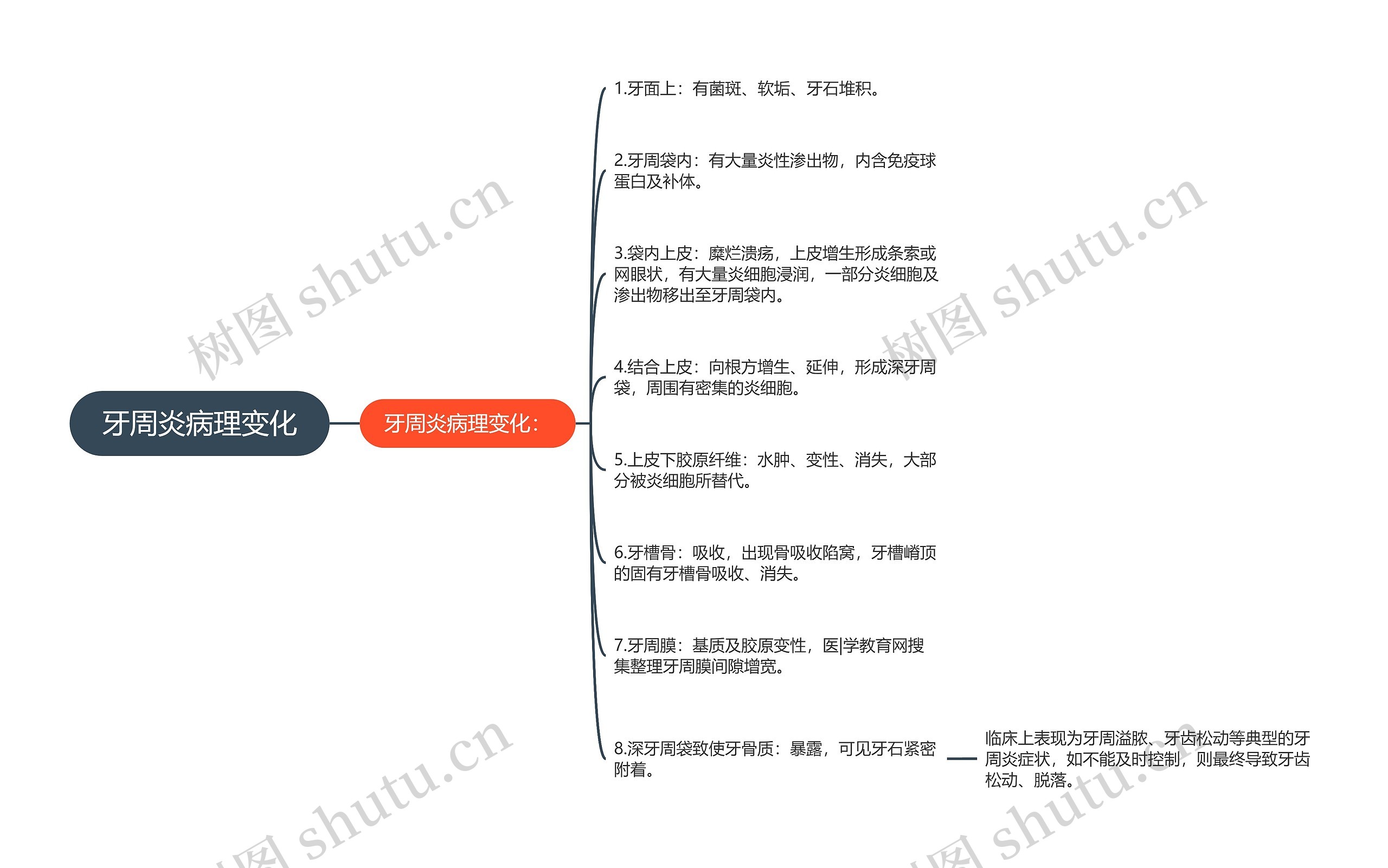 牙周炎病理变化思维导图