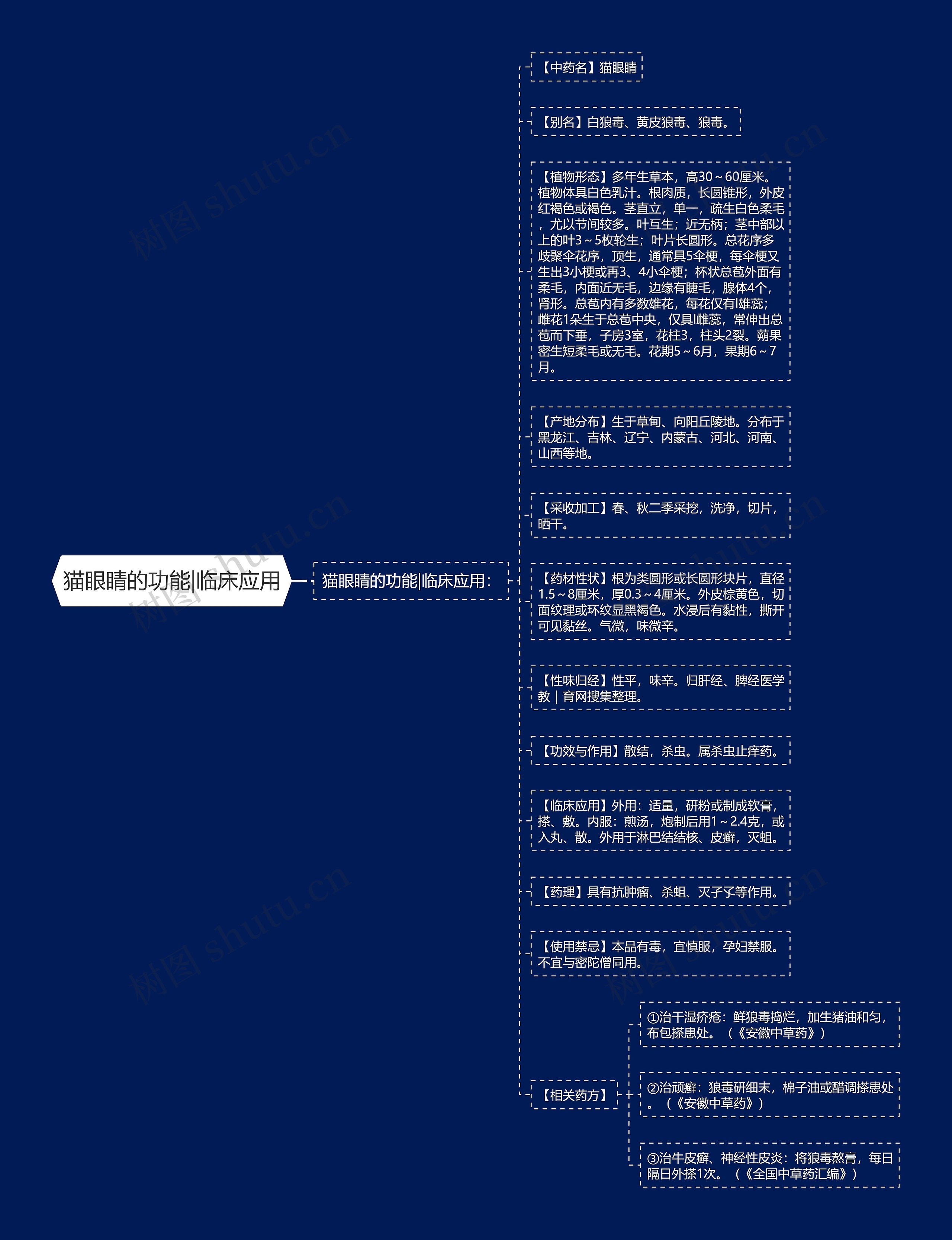 猫眼睛的功能|临床应用思维导图