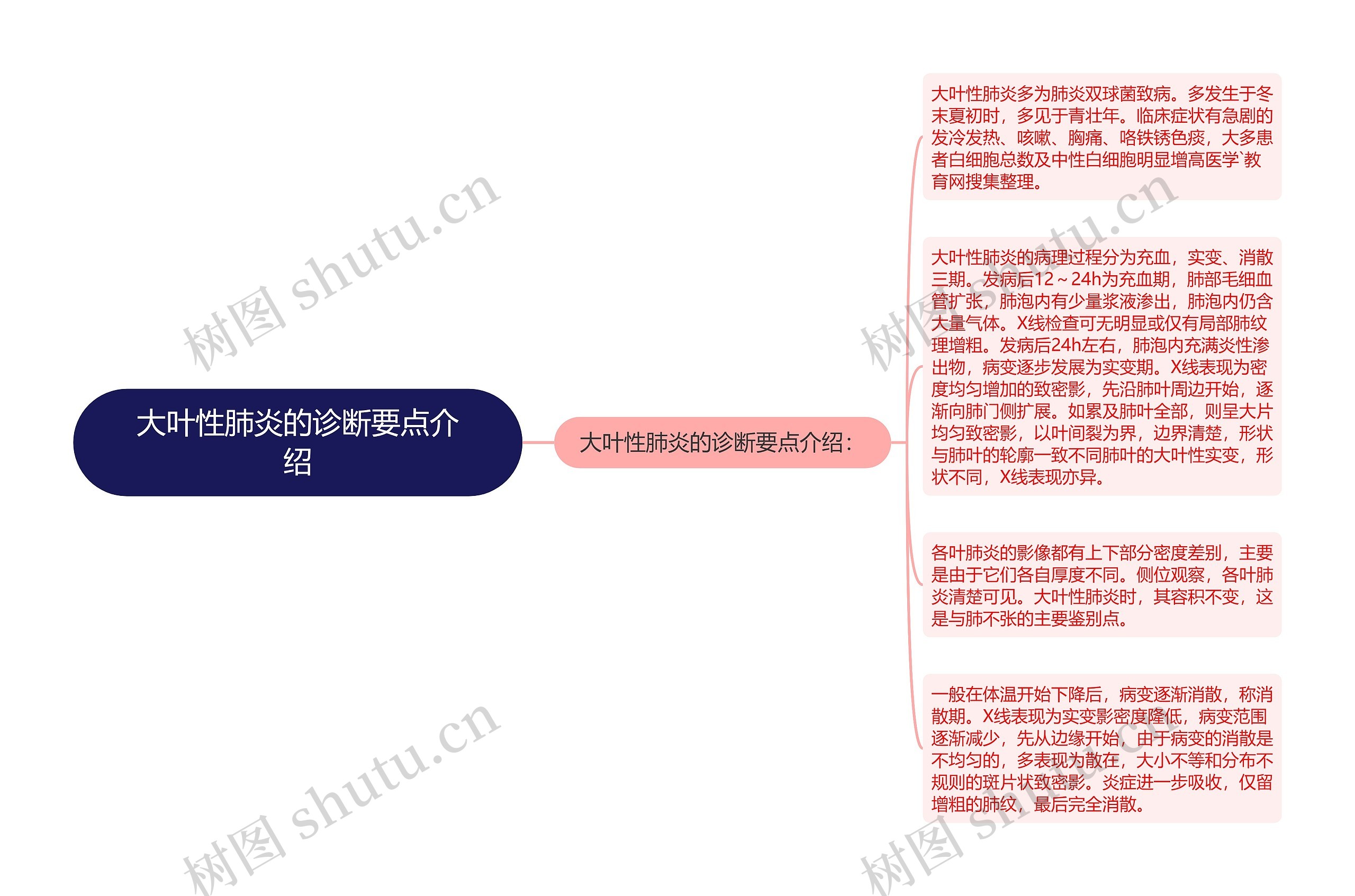 大叶性肺炎的诊断要点介绍思维导图