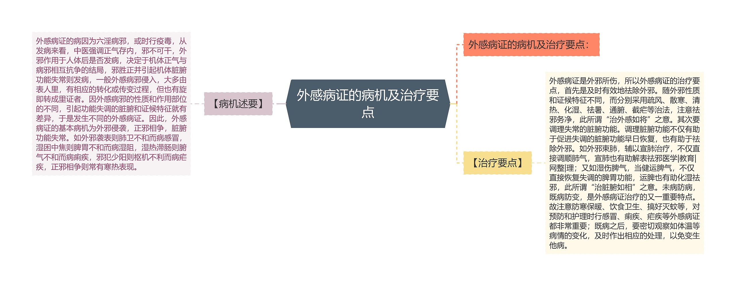 外感病证的病机及治疗要点