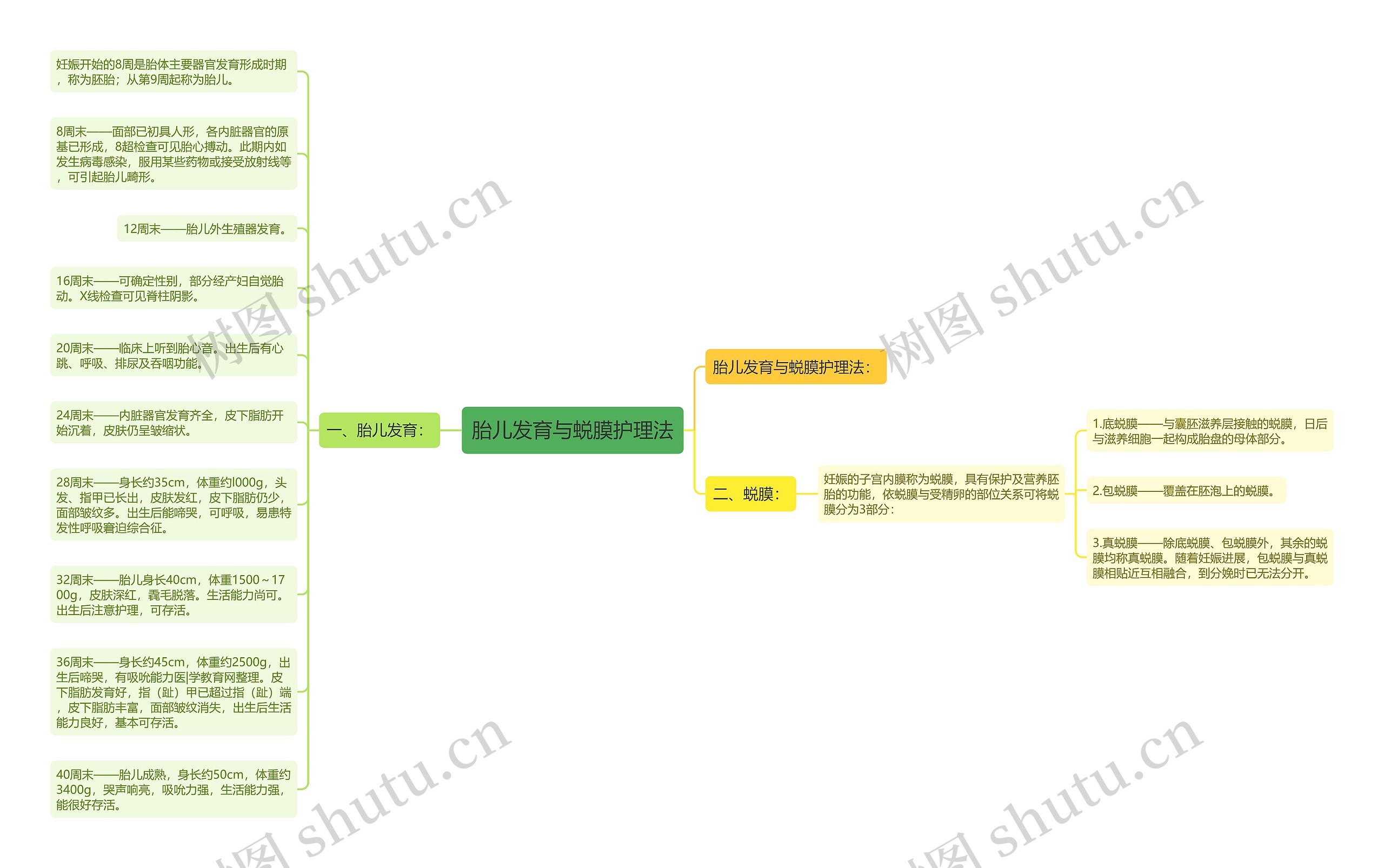 胎儿发育与蜕膜护理法 胎儿发育与蜕膜护理法