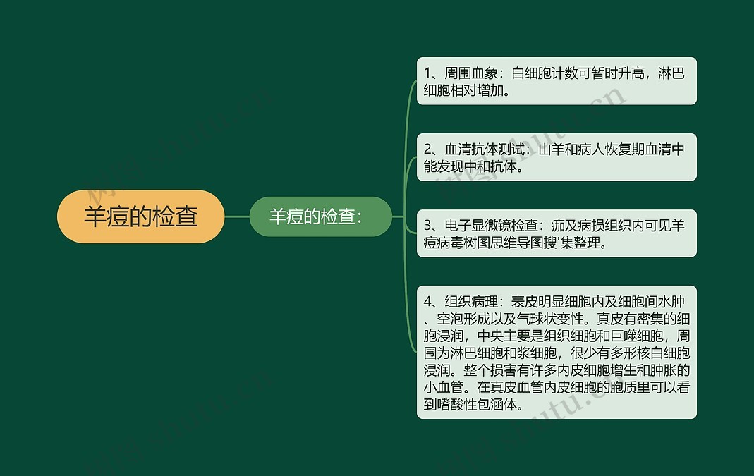 羊痘的检查思维导图_编号p6752135-TreeMind树图