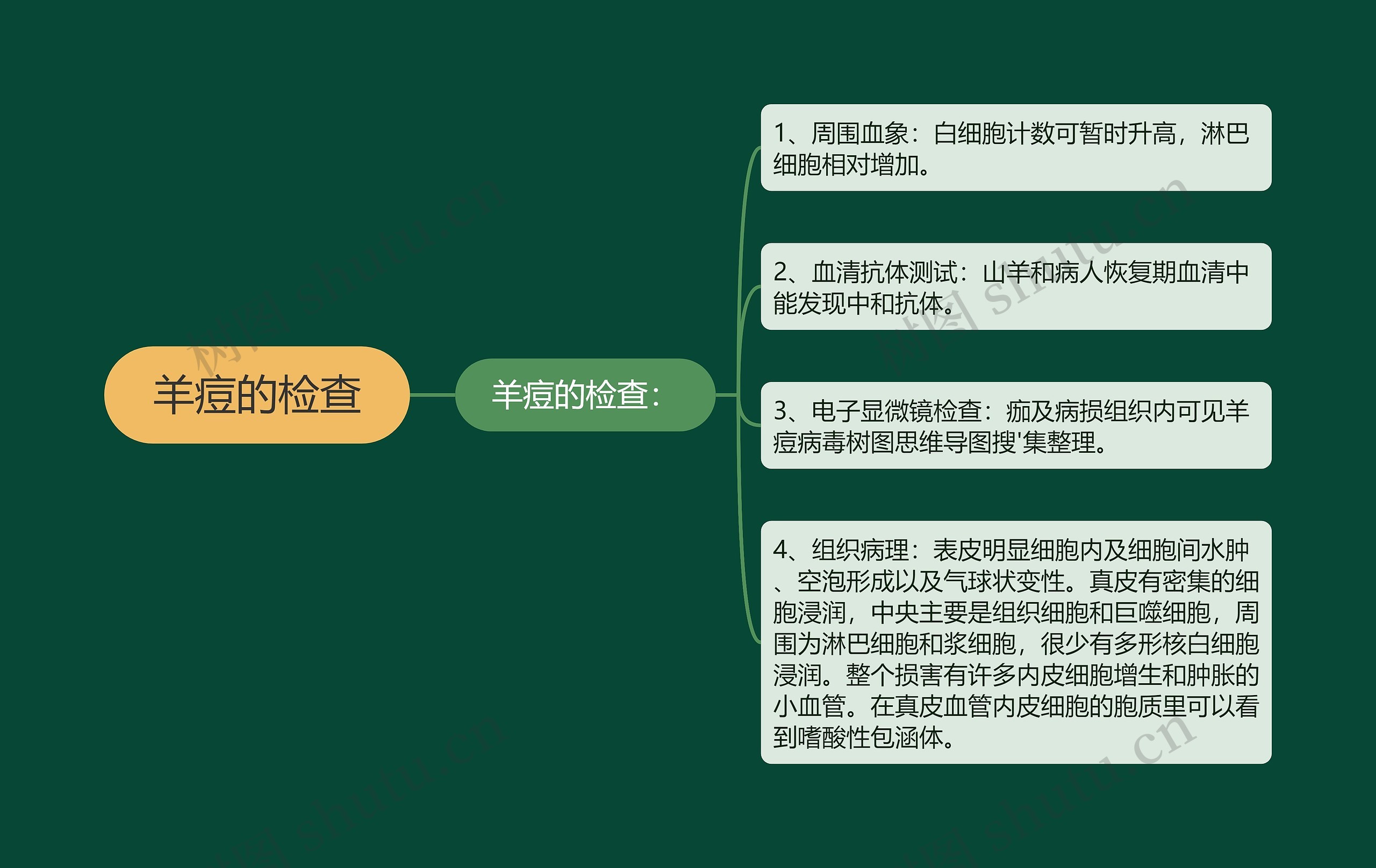 羊痘的检查 羊痘的检查