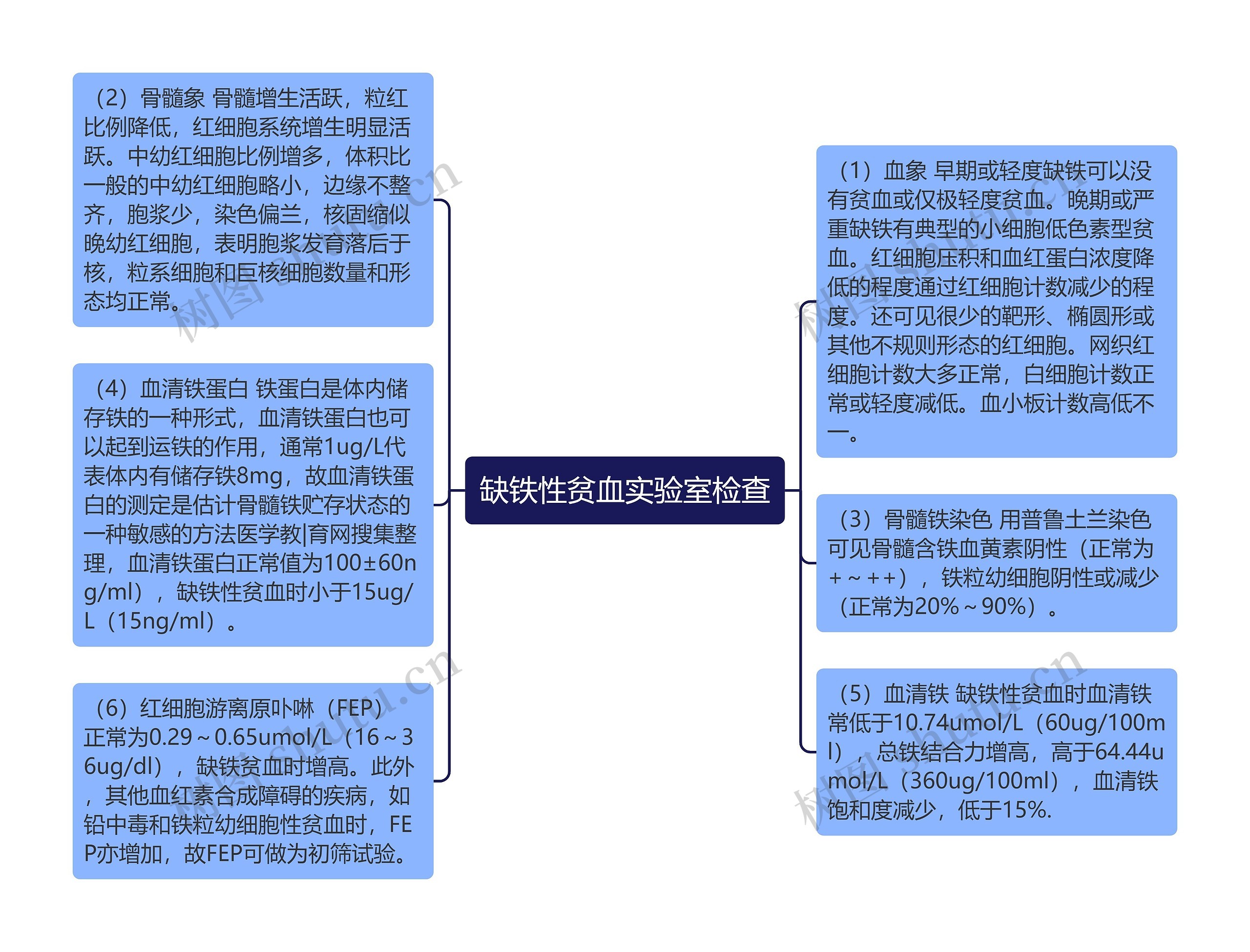 缺铁性贫血实验室检查