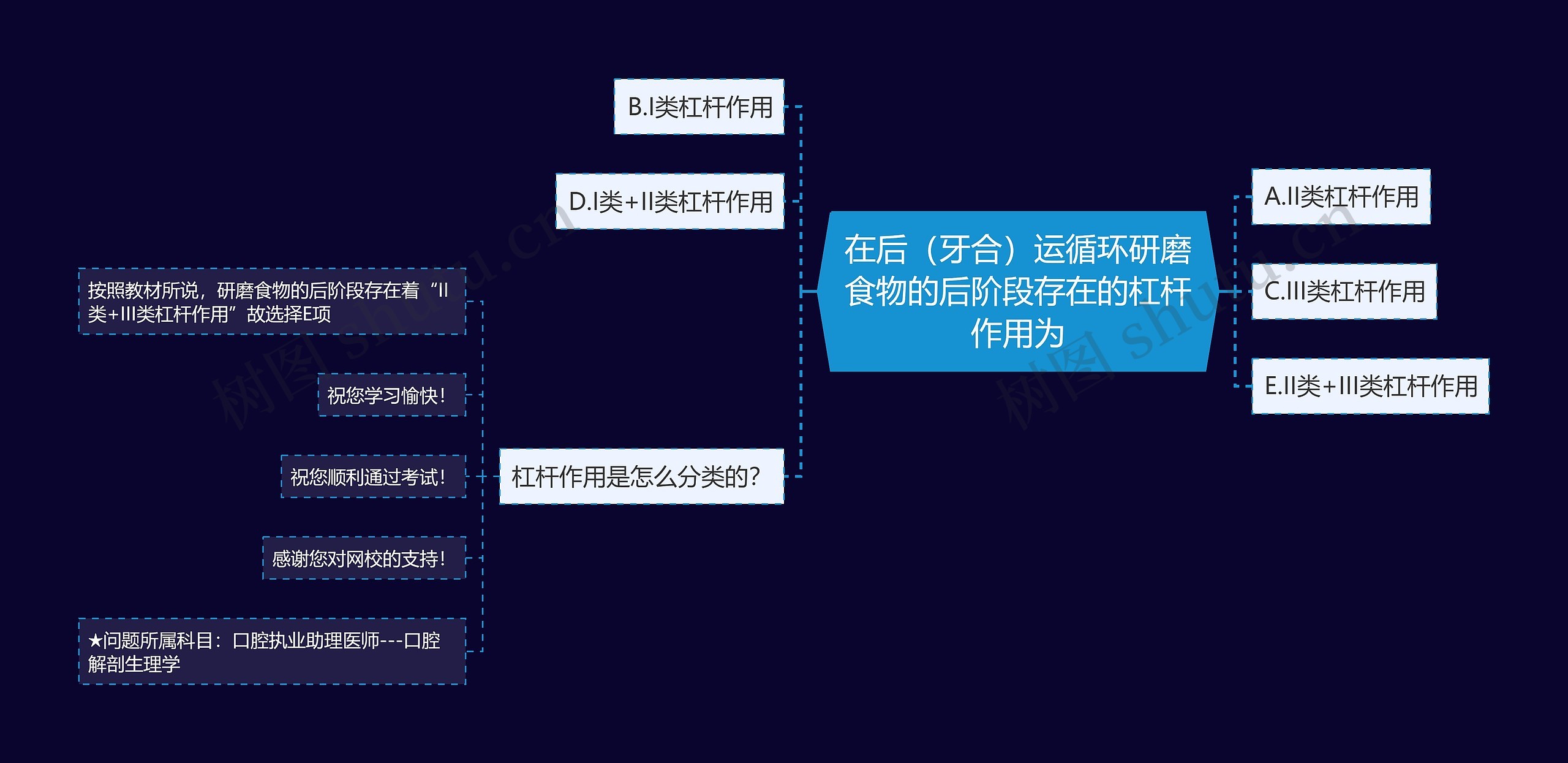 在后（牙合）运循环研磨食物的后阶段存在的杠杆作用为思维导图