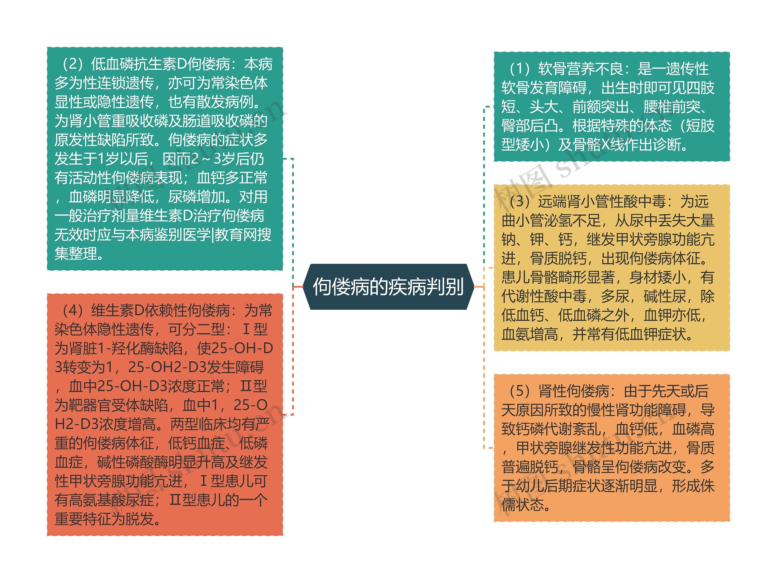 佝偻病的疾病判别