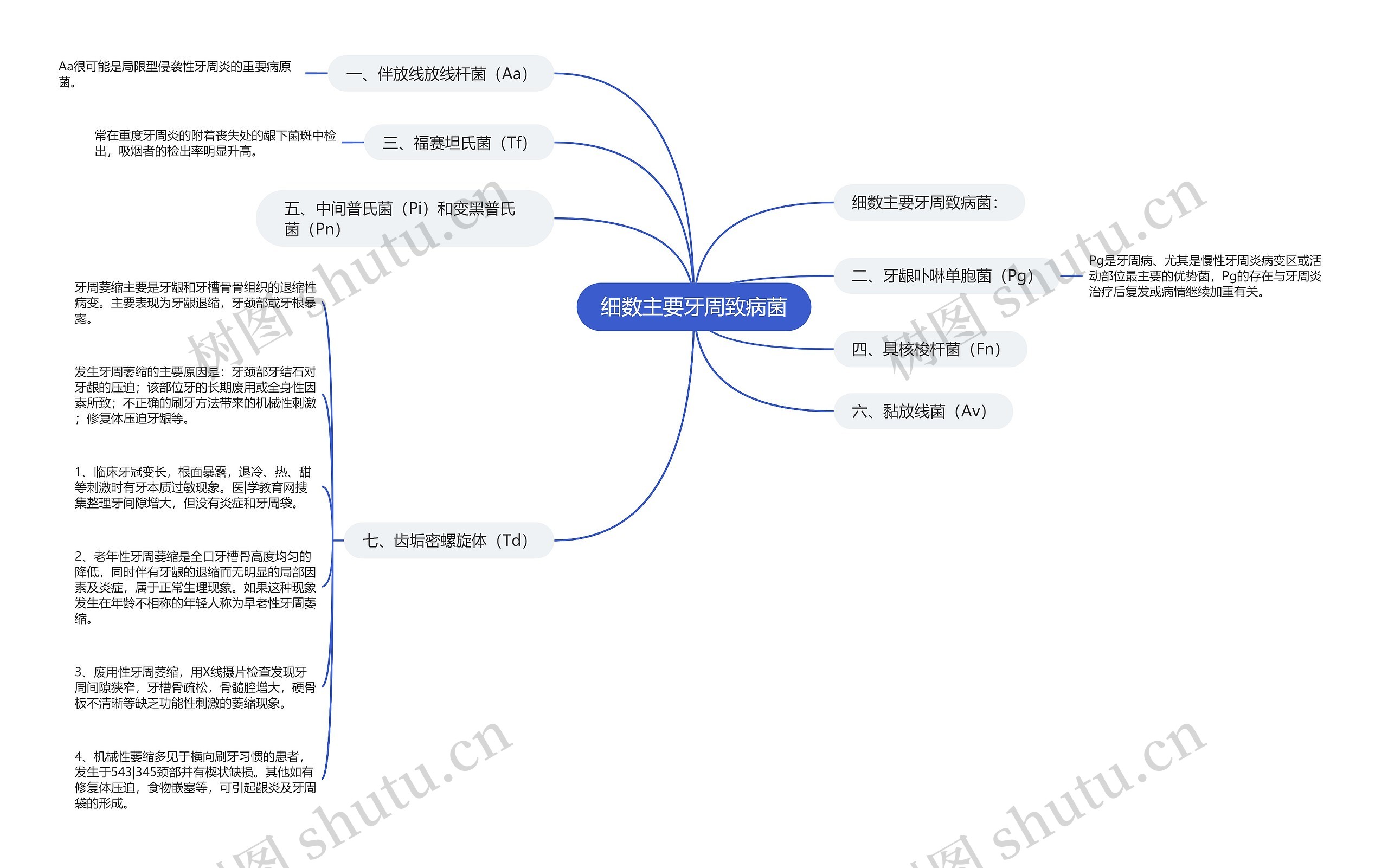 细数主要牙周致病菌思维导图