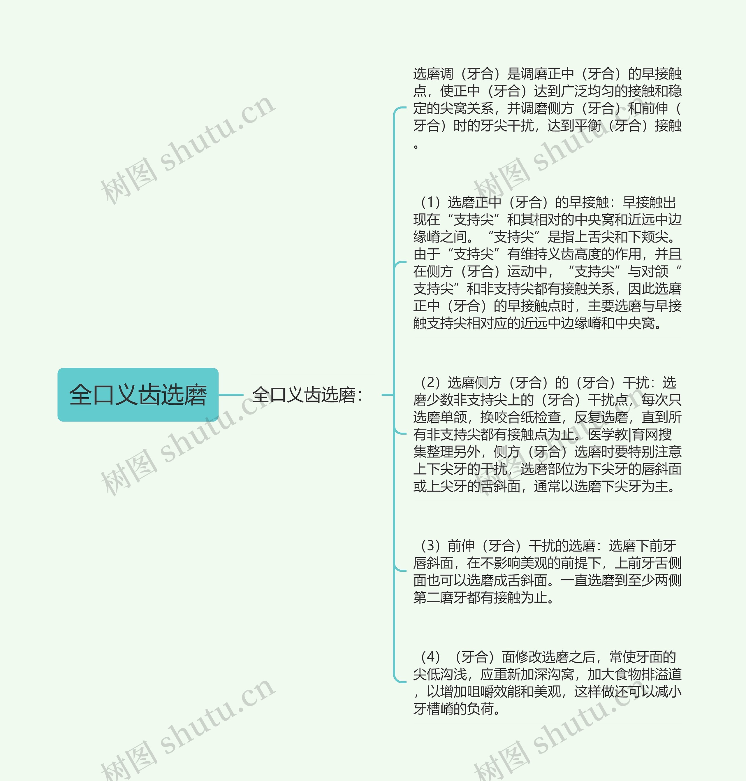 全口义齿选磨 全口义齿选磨