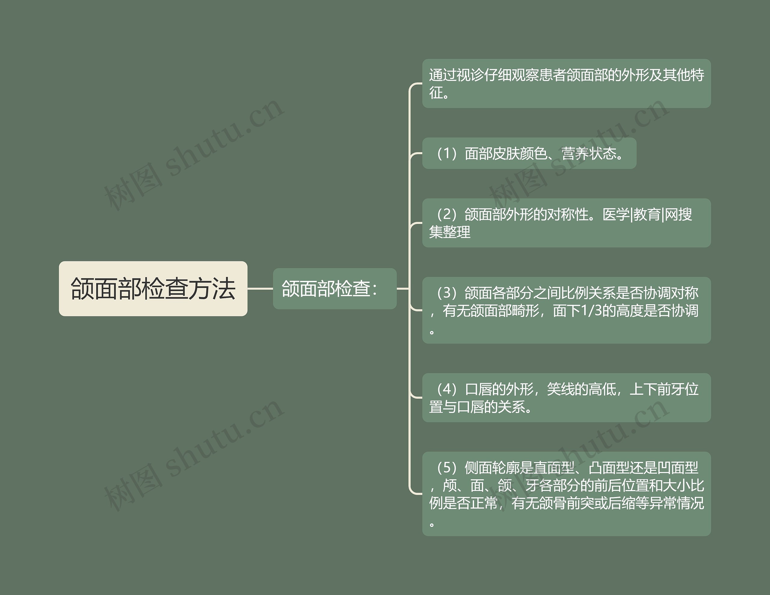 颌面部检查方法思维导图