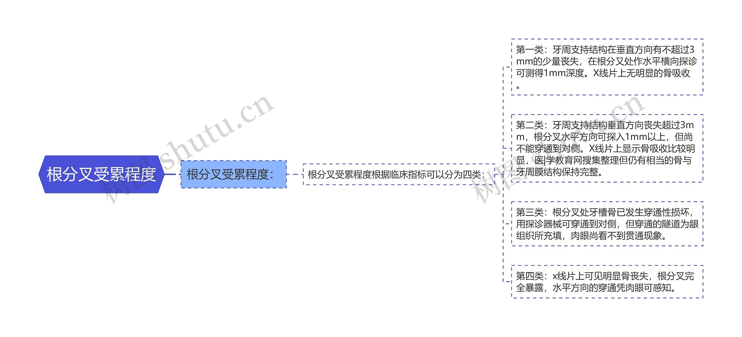 根分叉受累程度思维导图