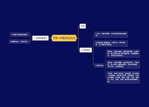 子肿-中医辩证论治
